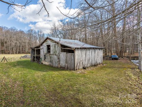 Tract 3 & 4 Badd Lane Maggie Valley NC 28751