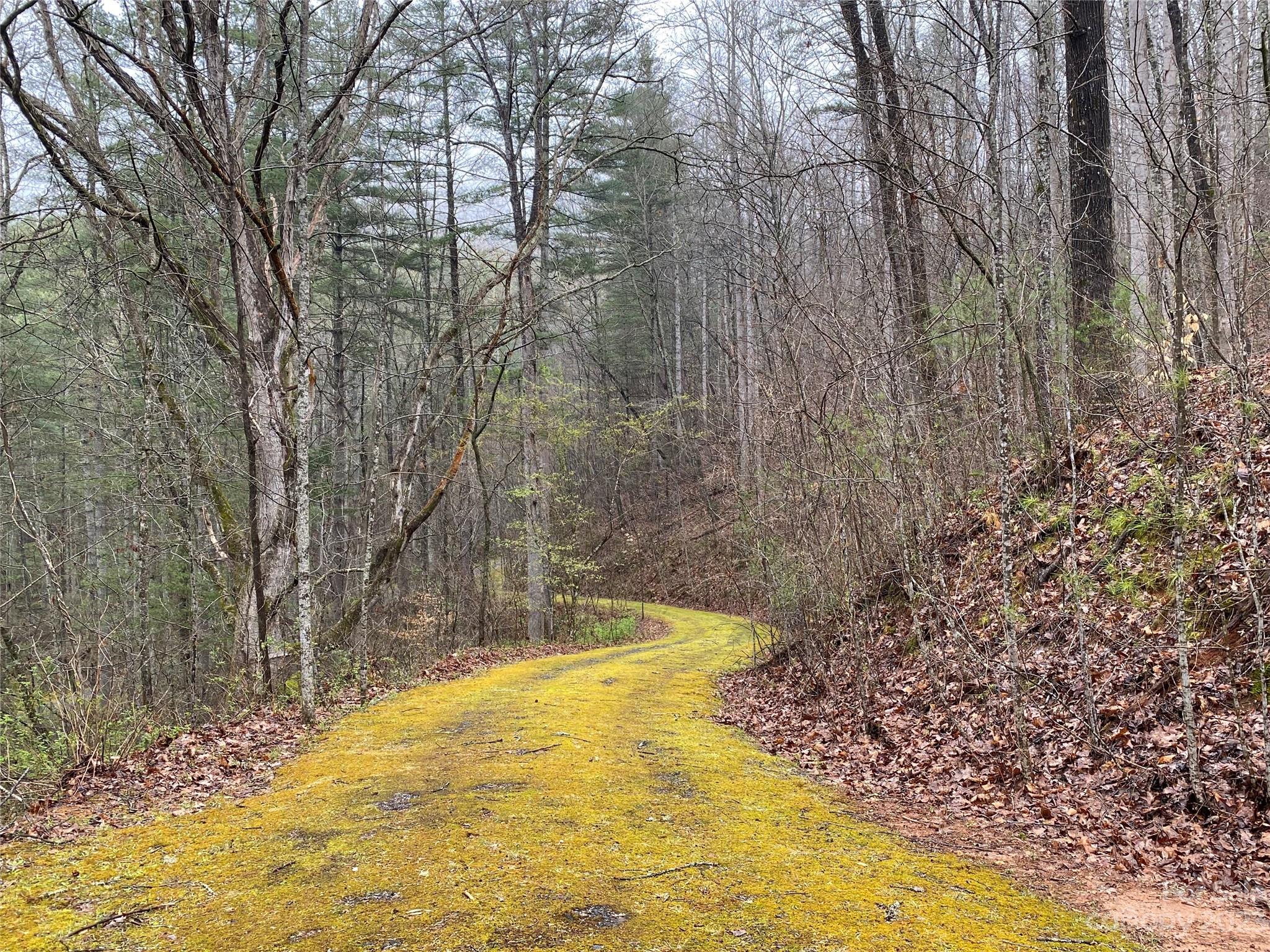 Photo 1 of 12 — TBD Starling Lane, Sylva, NC 28779