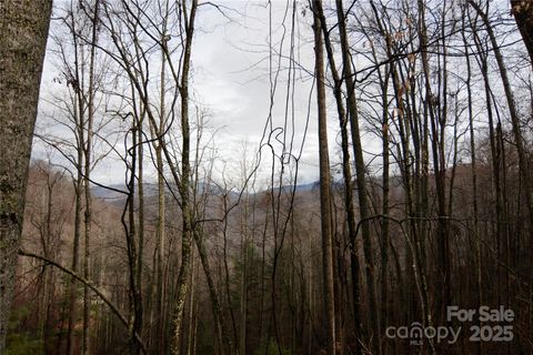 00 Jacks Knob Road Barnardsville NC 28709