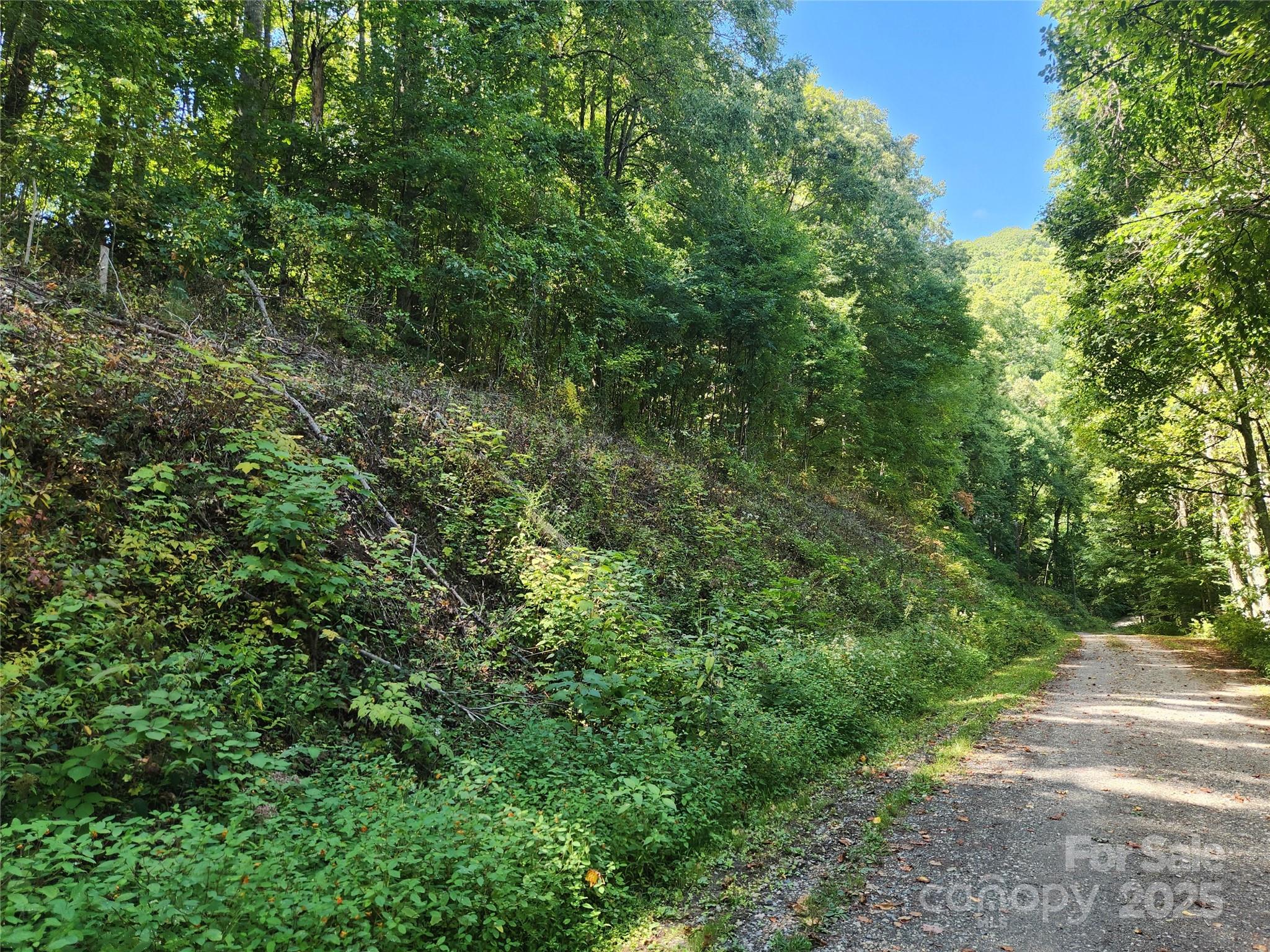 00 Jacks Knob Road