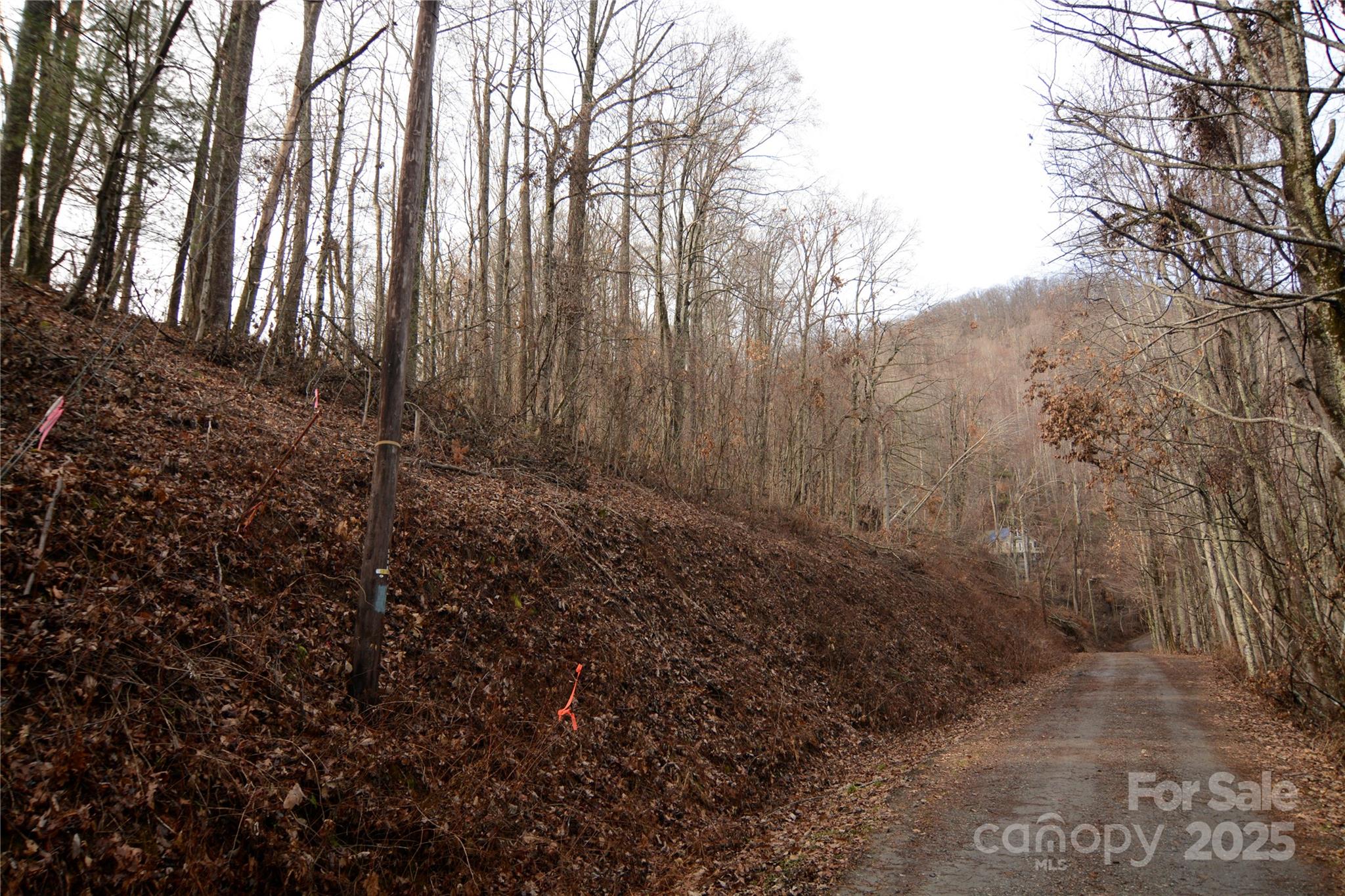 00 Jacks Knob Road