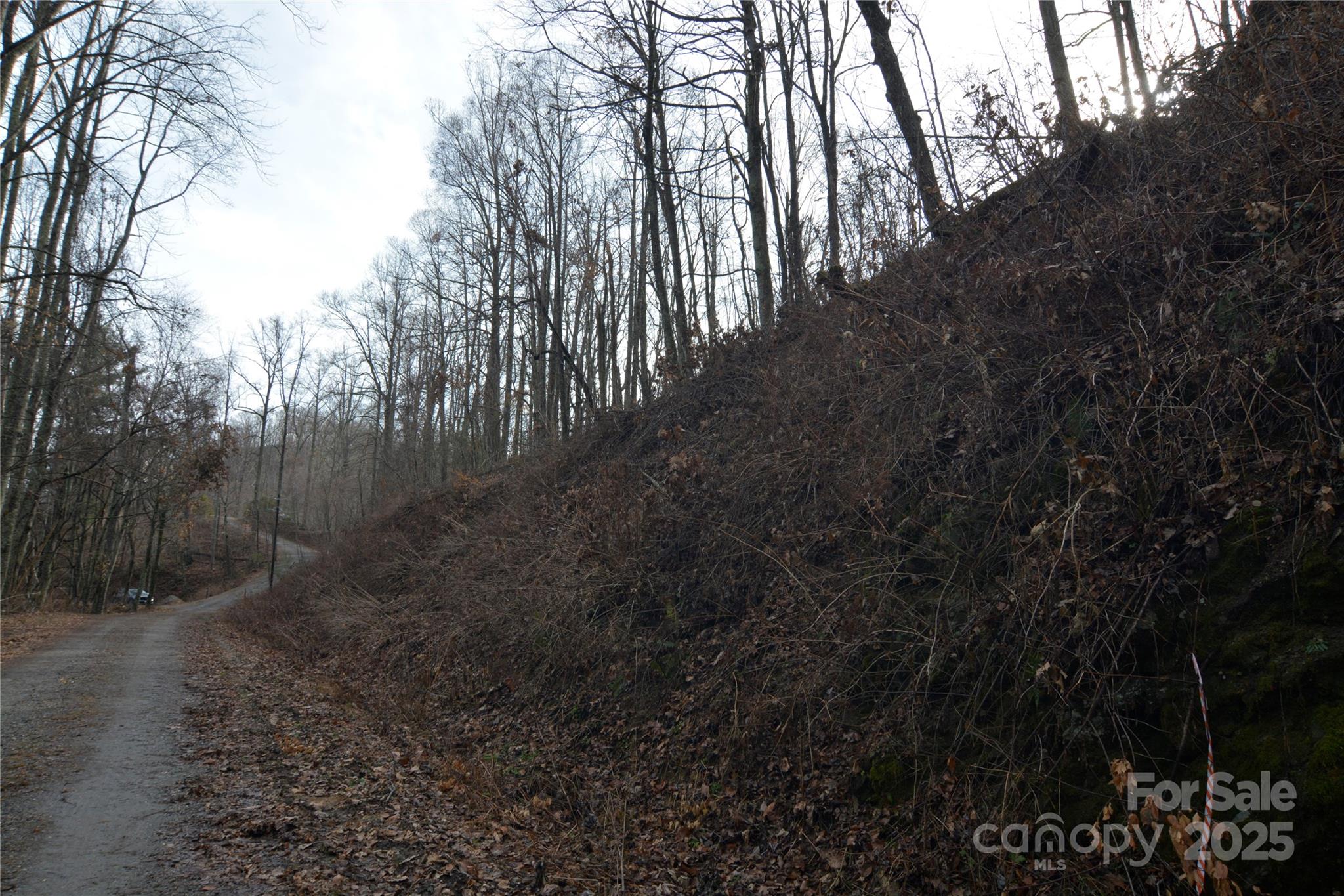 00 Jacks Knob Road