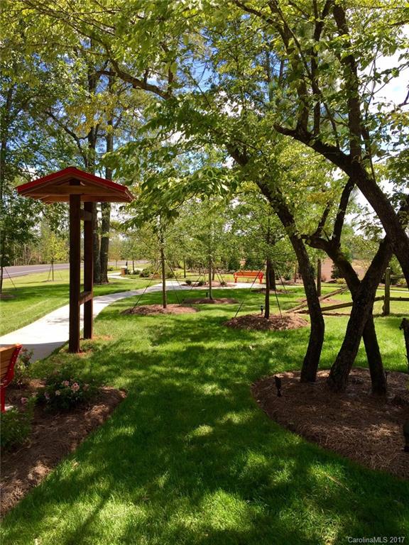 Tree Tops - Residential