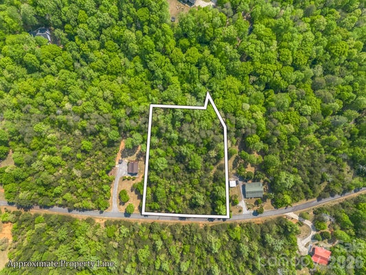 CROSS CREEK DR, RUTHERFORDTON, NC 28139 - Image 4fa4111ef83d7dc007f2ba3bfb7d4d0c/2864504921