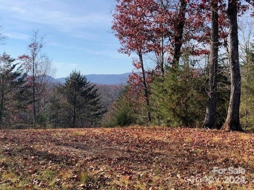 Discover the perfect blend of nature beauty and modern convenience in this stunning property, located in the serene Lake Ager community. Nestled in the heart of Western North Carolina, this lot offers breathtaking mountain views and comes with a deeded marina slip, making it an ideal spot for nature lovers and boating enthusiasts alike. BIG VIEWS! This building lot is located in the gated Mountain Park section of Lake Adger. The lot has very nice views and is located near the the Mountain Park Marina where you will find the deeded Marina slip. The paved driveway is cut in and the lot is served by a shared well. The lake has a horsepower limit keeping for a peaceful environment. Lake Adger is a 438 acre lake with 14 miles of shoreline. It is a planned community with miles of Equestrian/walking trails. It is located near the Tryon International Equestrian Center, Lake Lure, Hendersonville NC and Spartanburg/Greenville SC