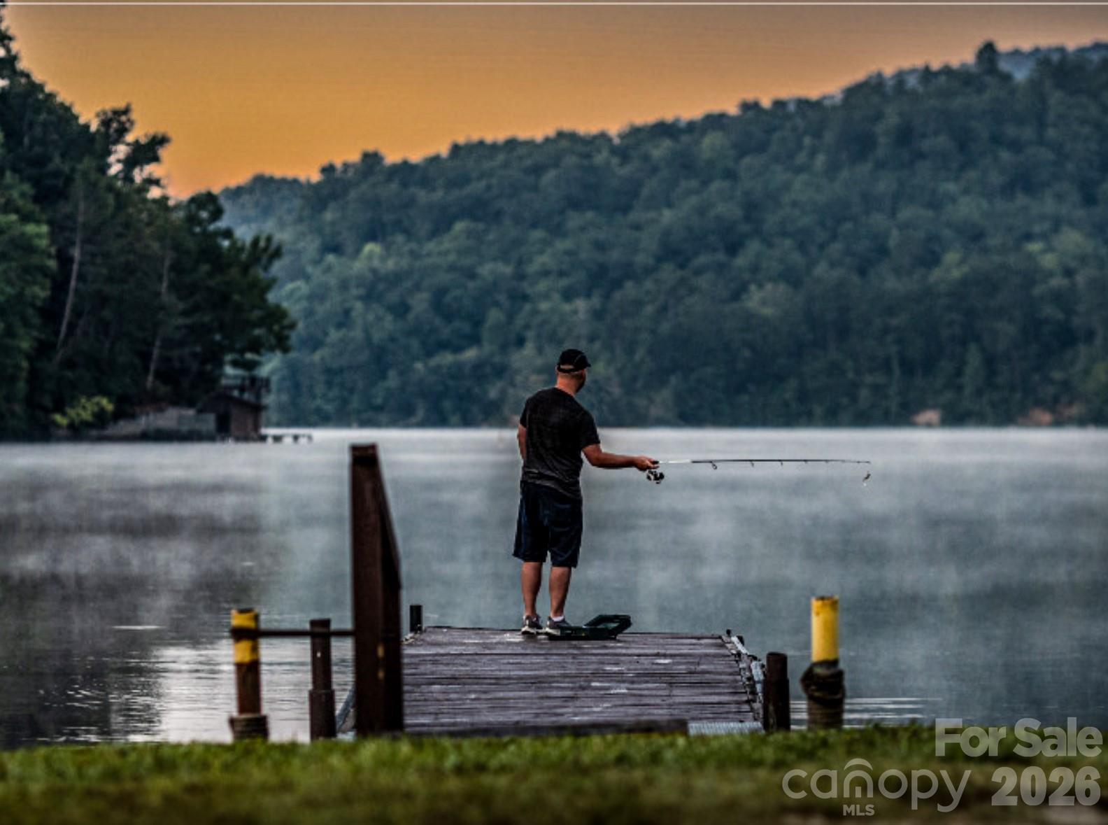 Rumbling Bald on Lake Lure - Land