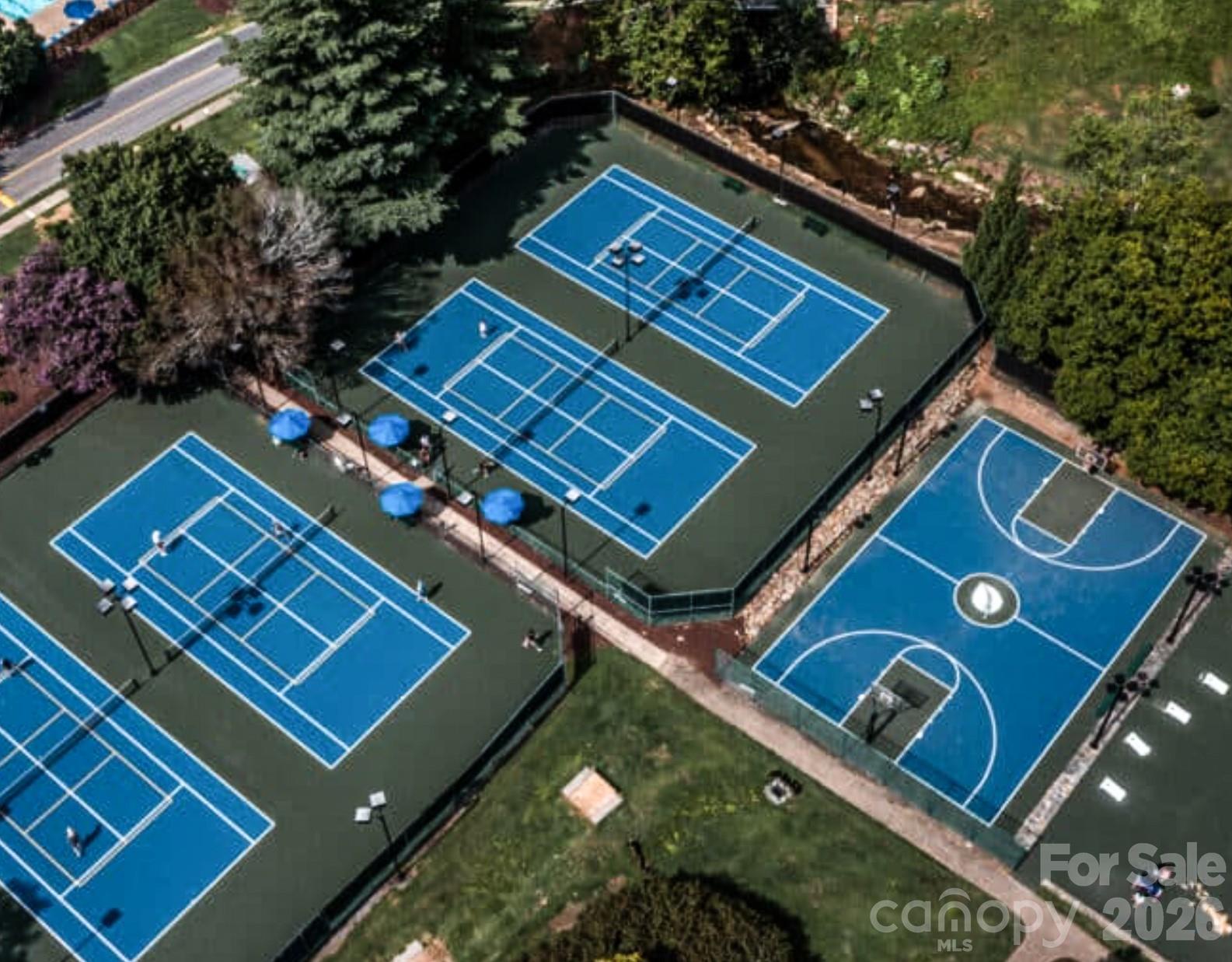 Rumbling Bald on Lake Lure - Land