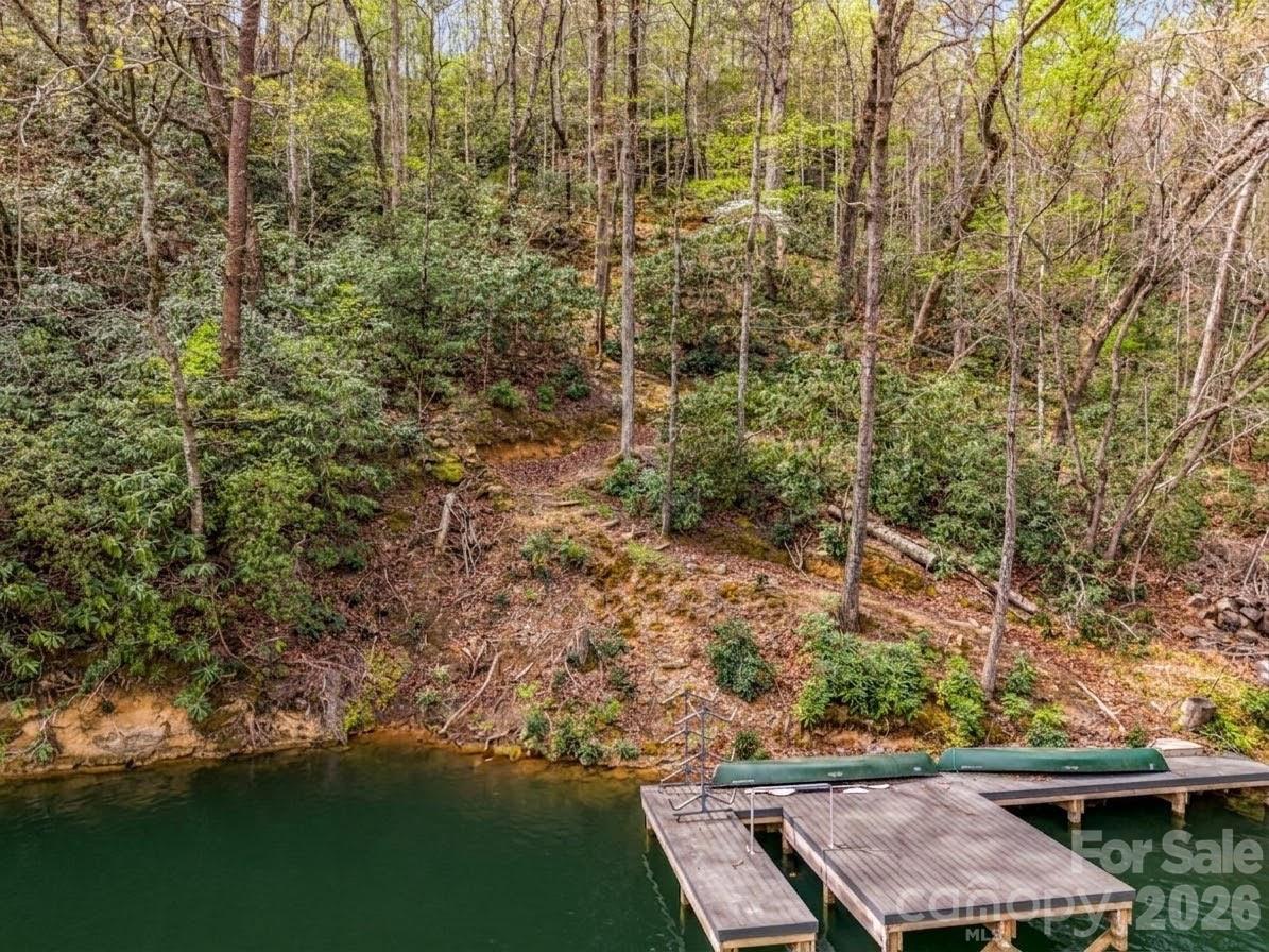Rumbling Bald on Lake Lure - Land