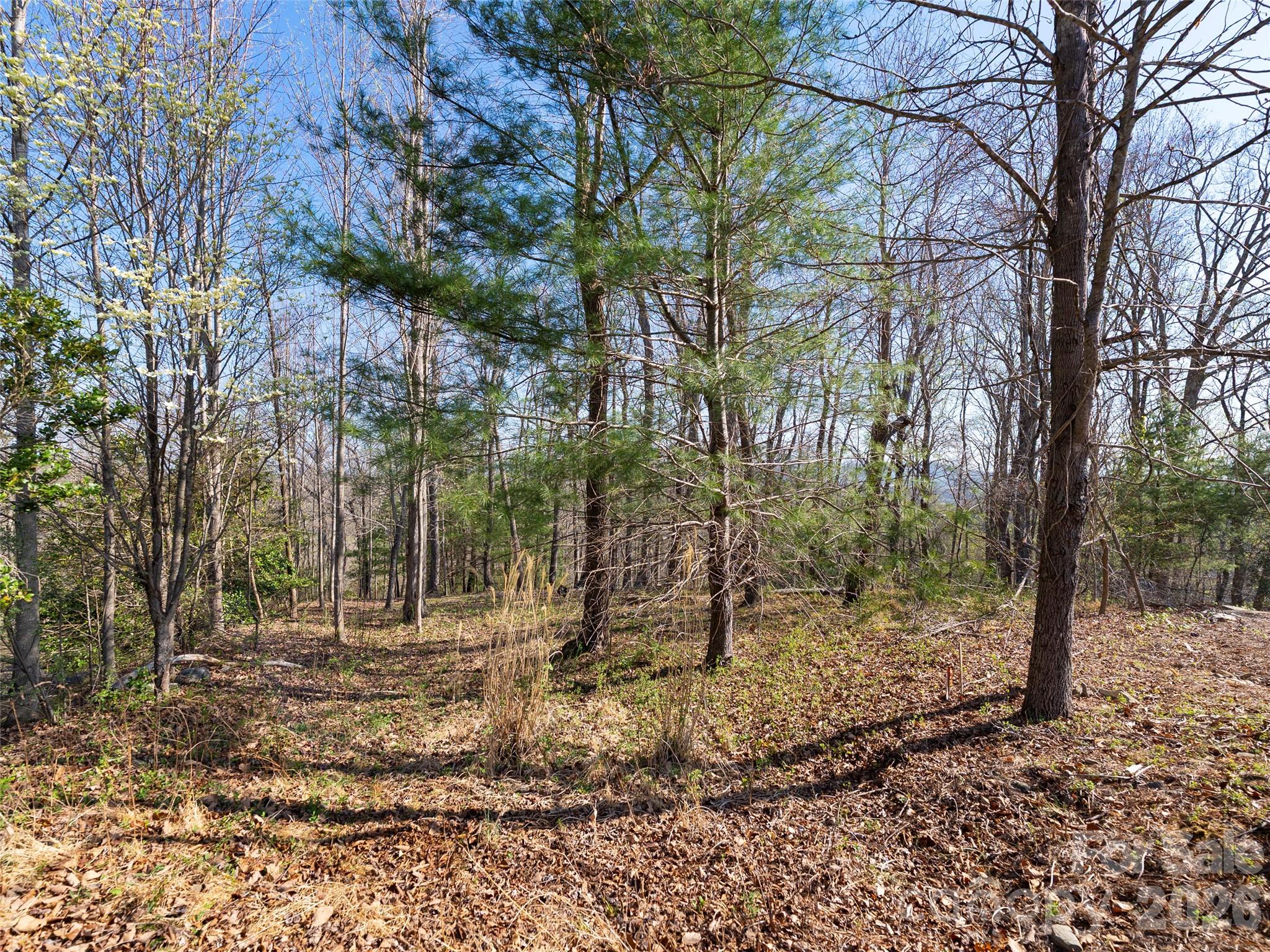 The Cliffs at Walnut Cove - Land
