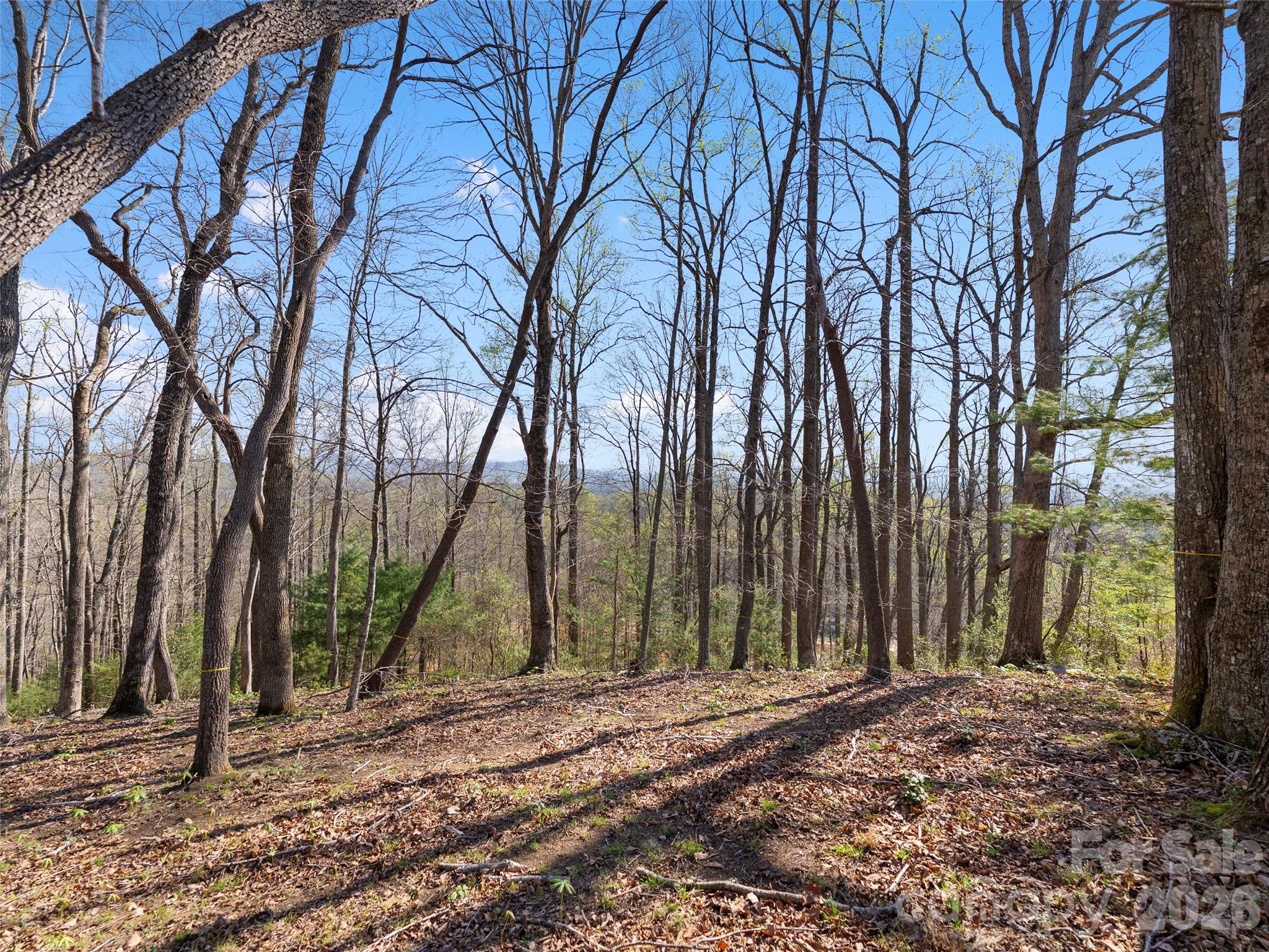 The Cliffs at Walnut Cove - Land
