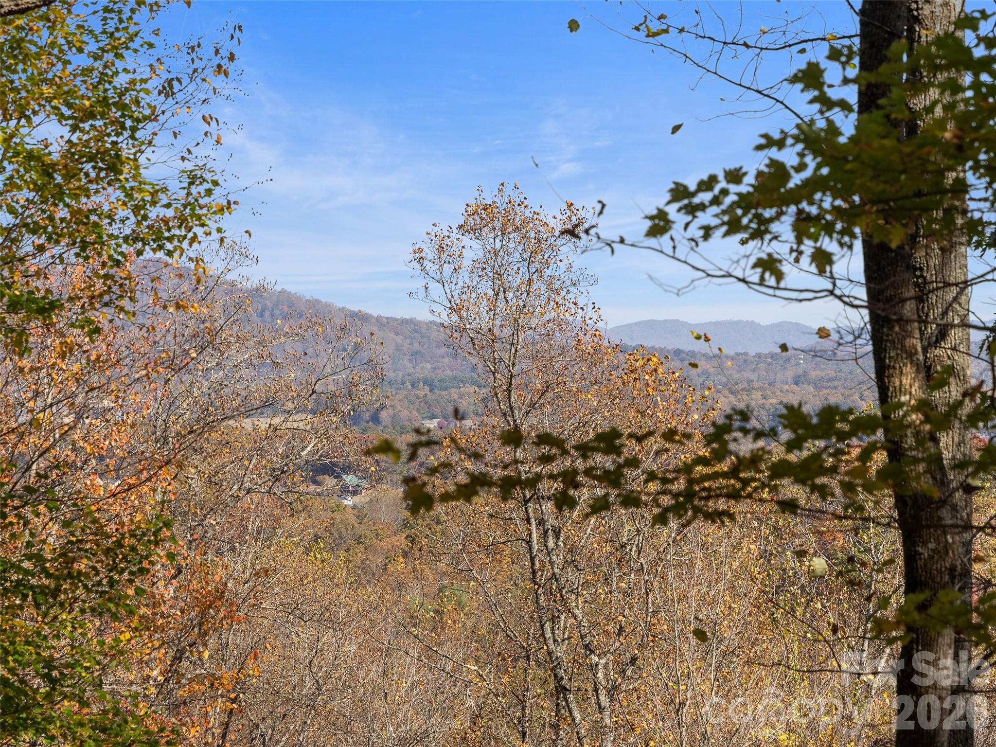 44 Ridge Pine Trail 83