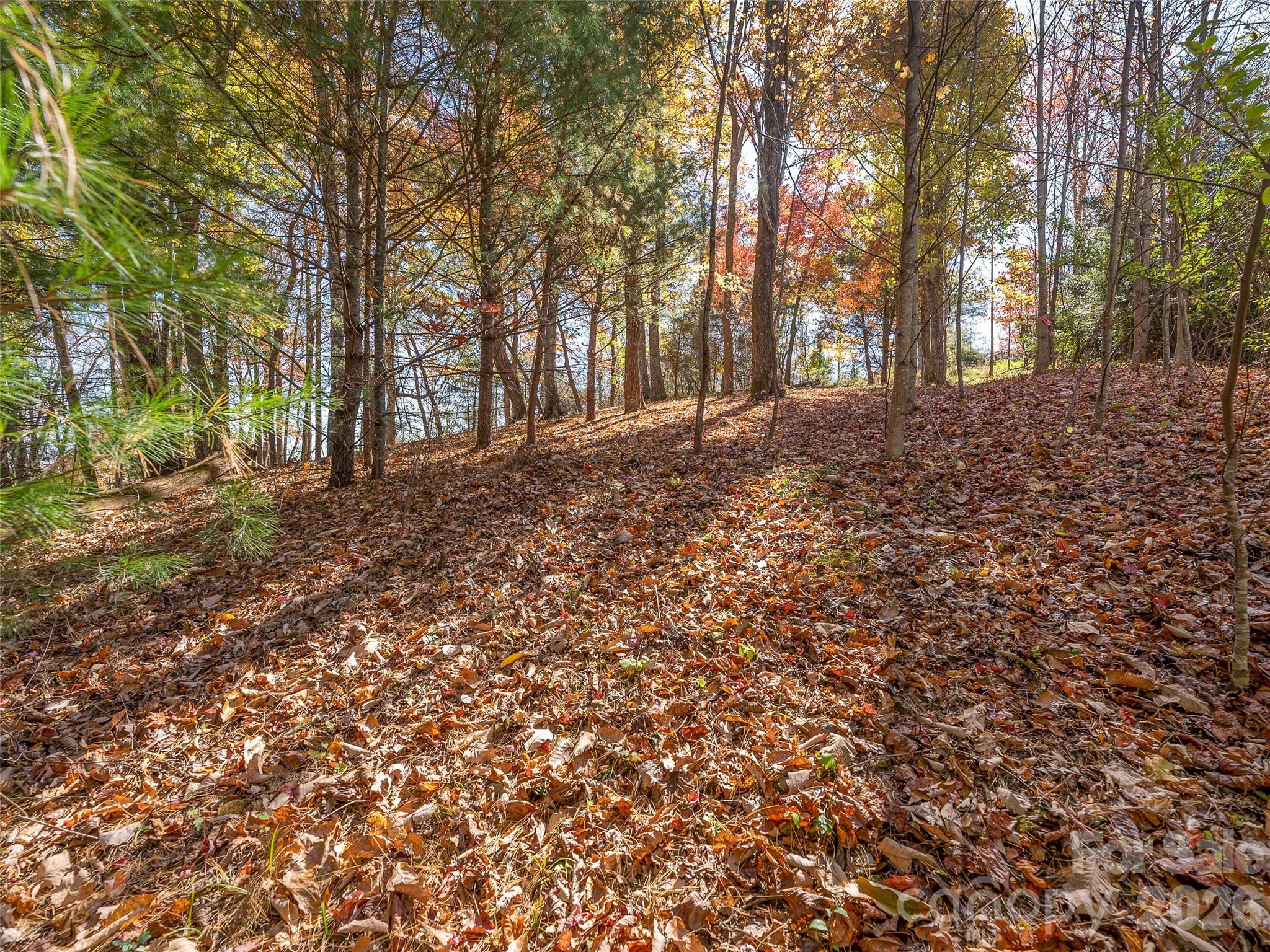 44 Ridge Pine Trail 83