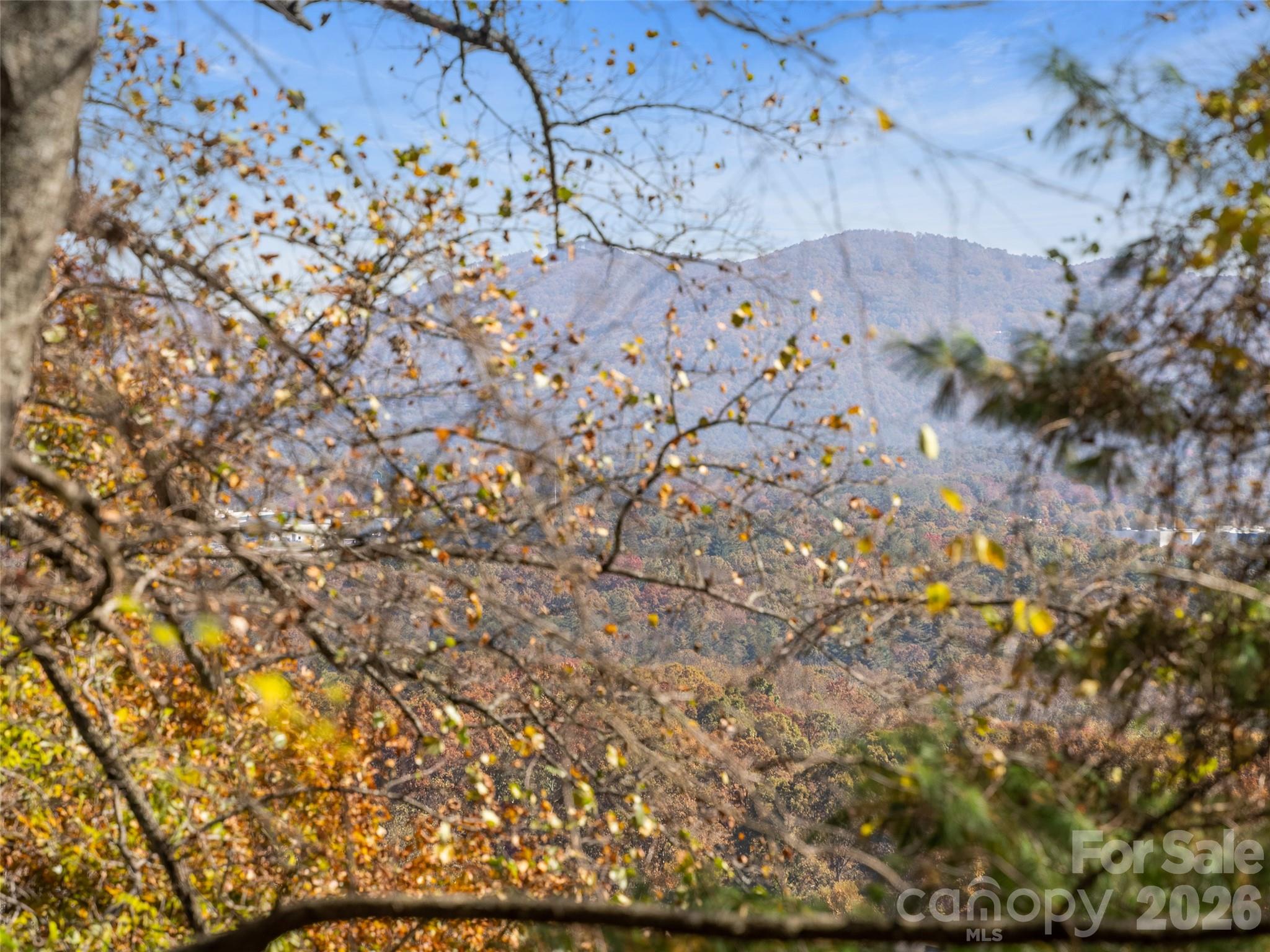 44 Ridge Pine Trail 83