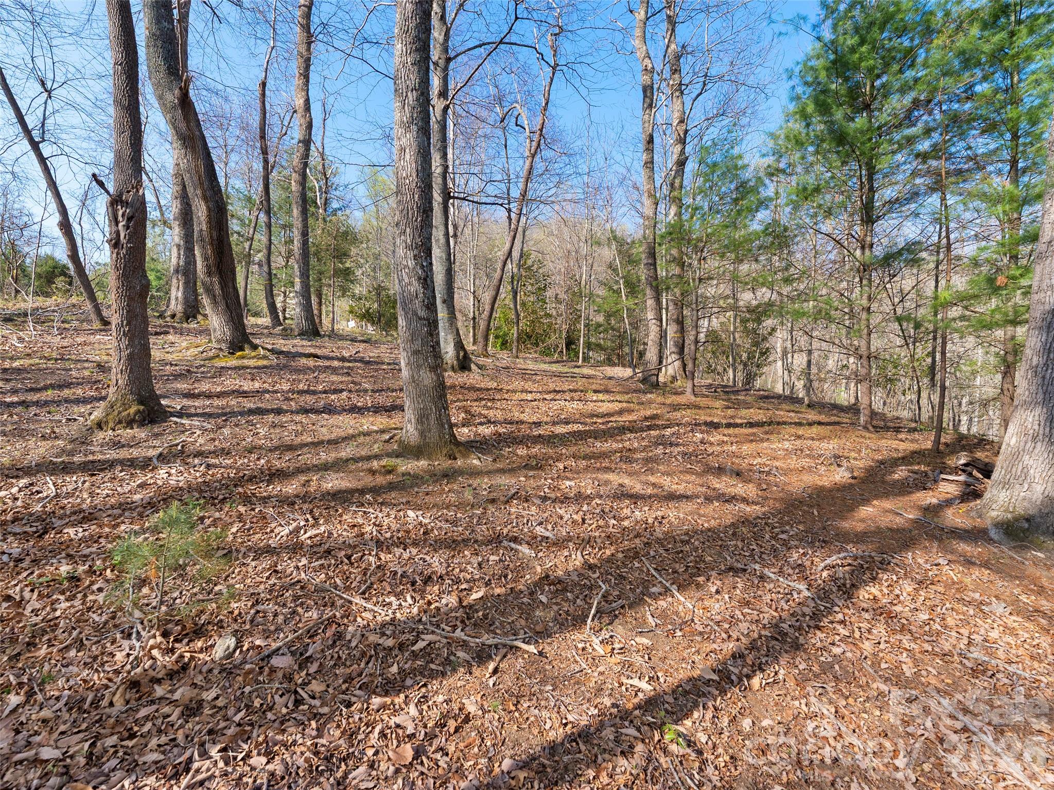 The Cliffs at Walnut Cove - Land
