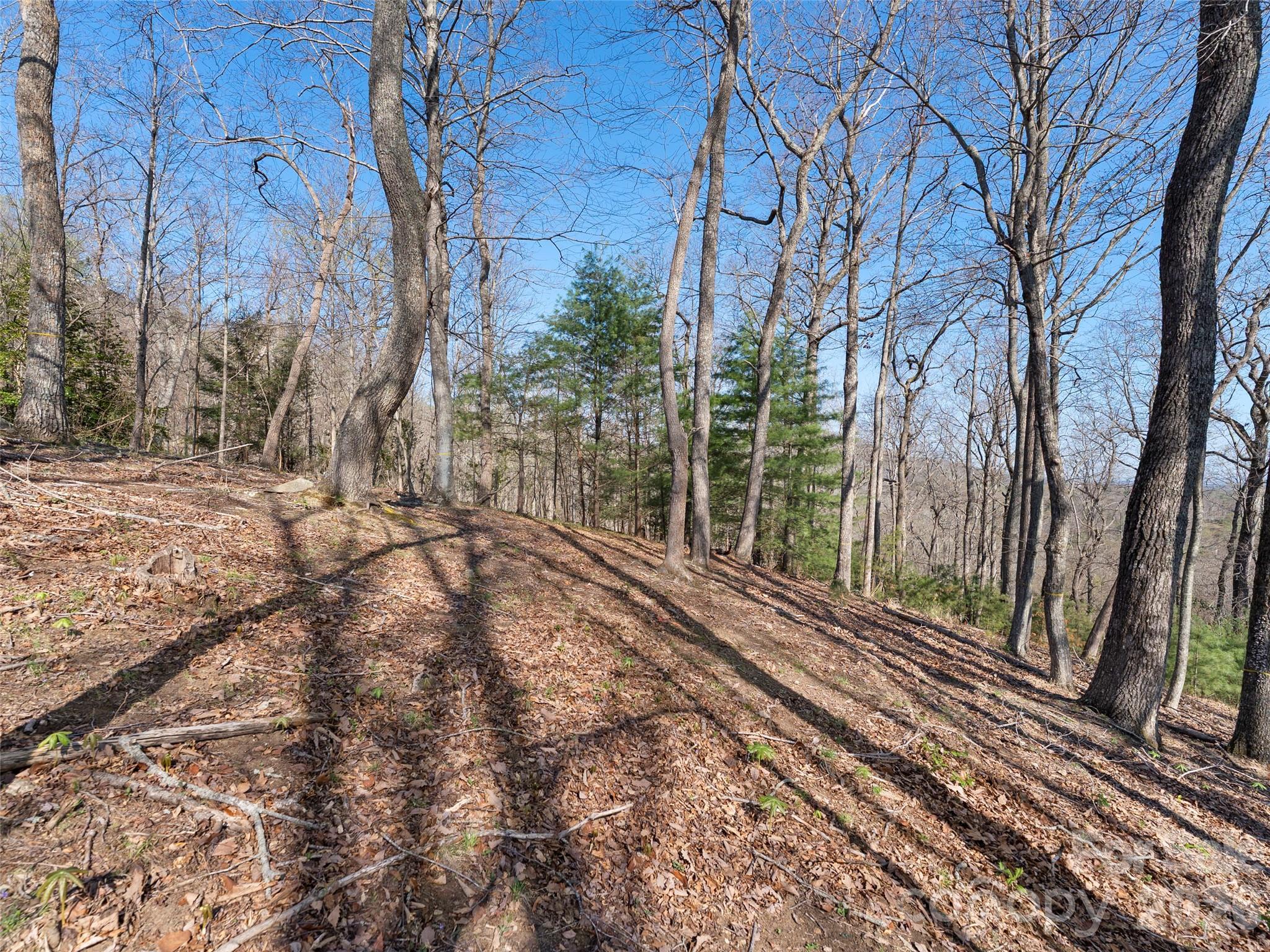 The Cliffs at Walnut Cove - Land
