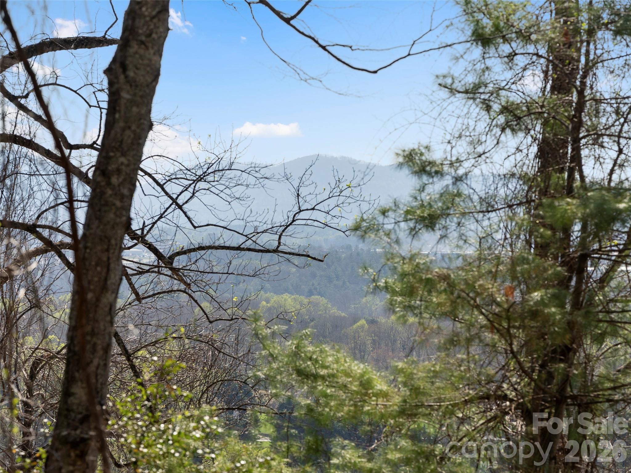 The Cliffs at Walnut Cove - Land