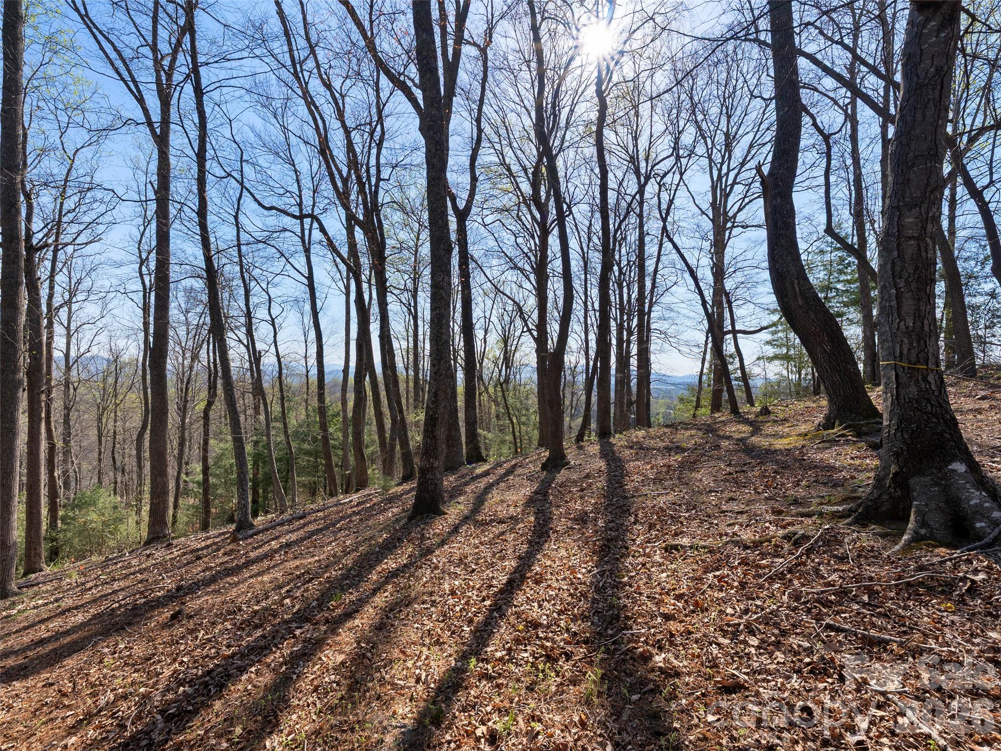 The Cliffs at Walnut Cove - Land