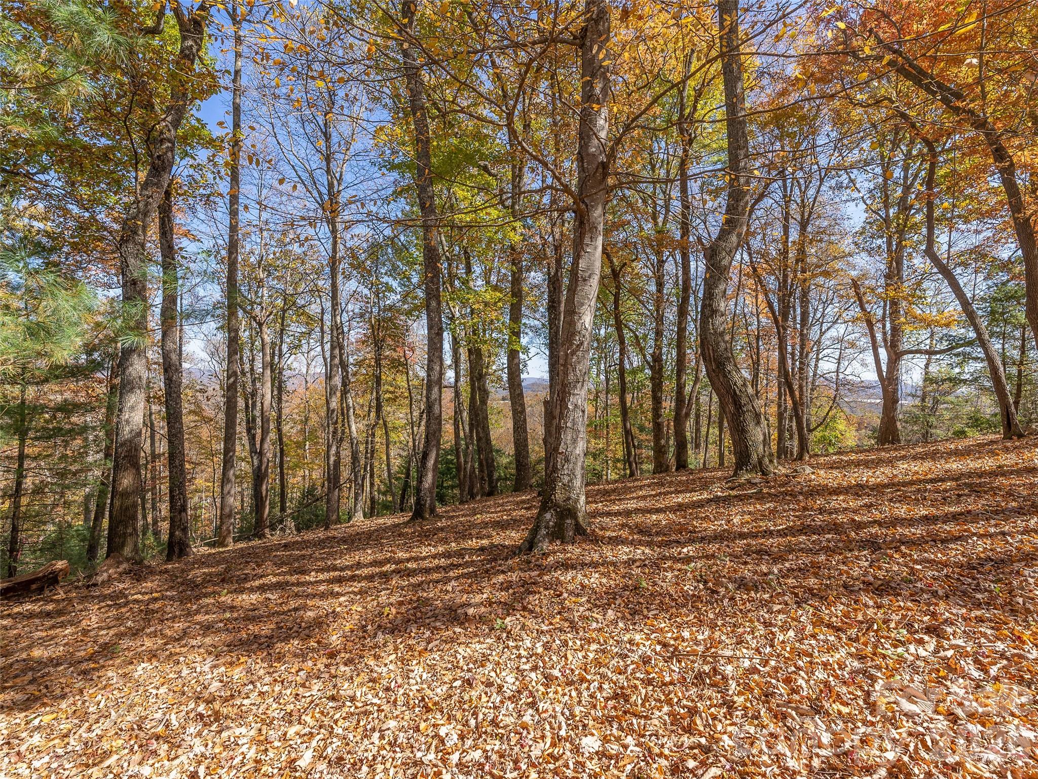 The Cliffs at Walnut Cove - Land
