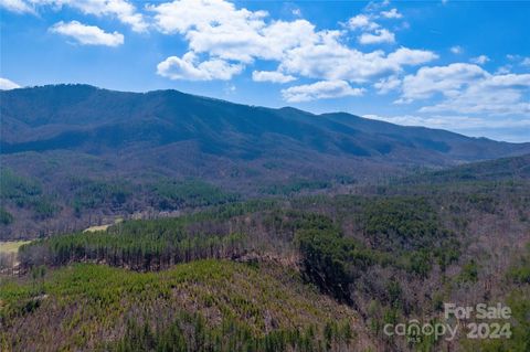 Tract 1 Holbert Cove Road Mill Spring NC 28756