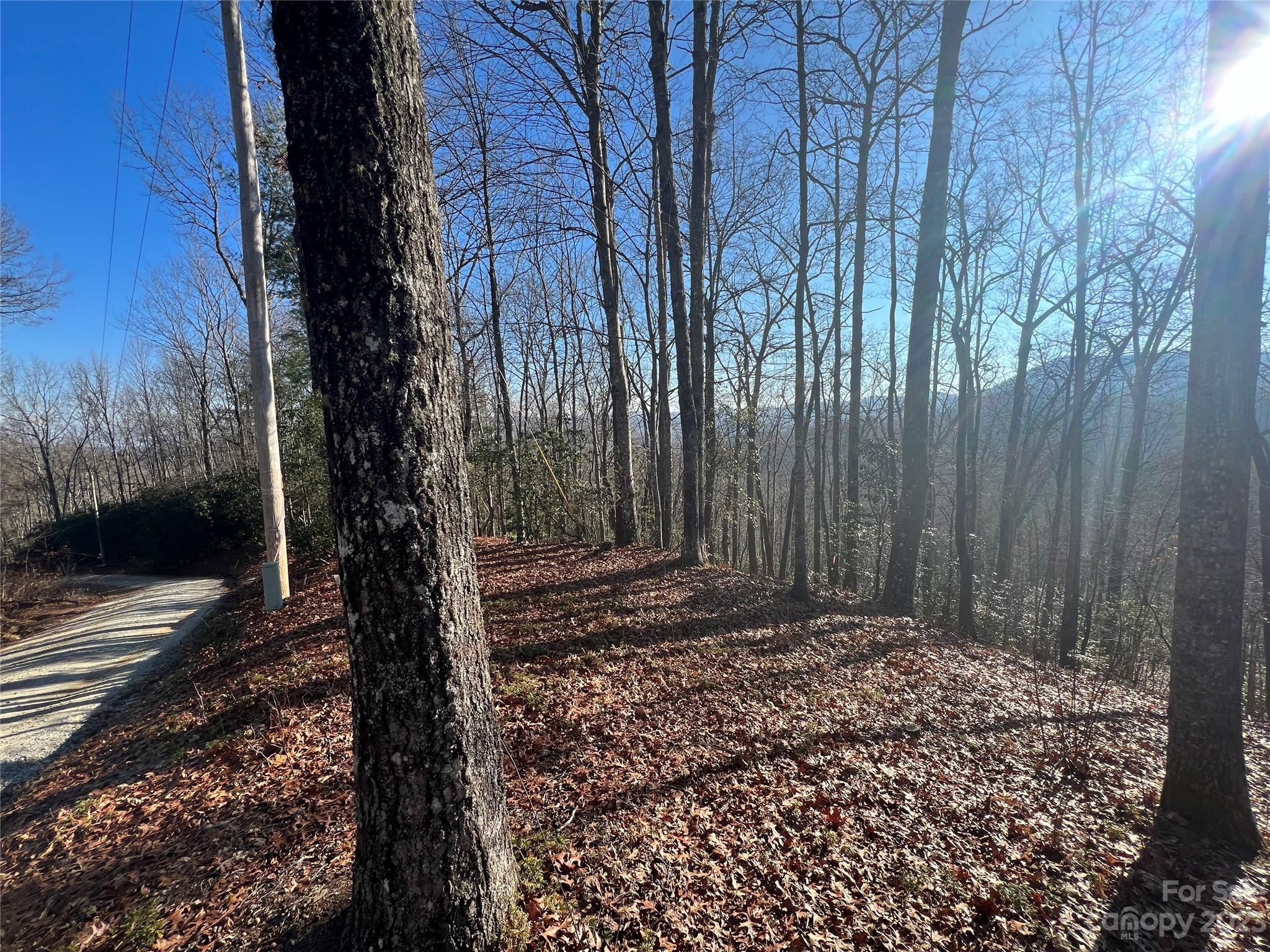 Gray Fox Development - Land