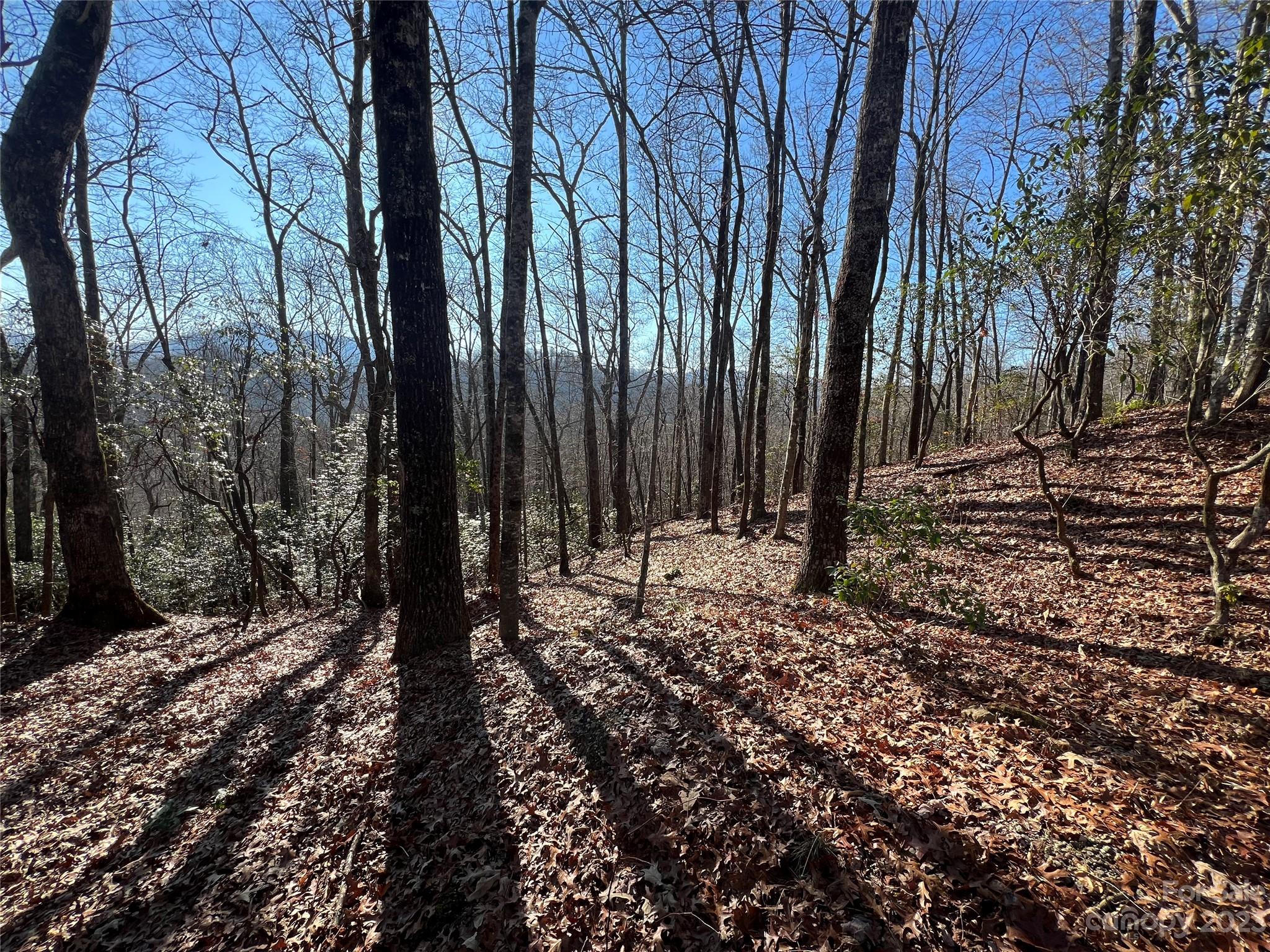 Gray Fox Development - Land