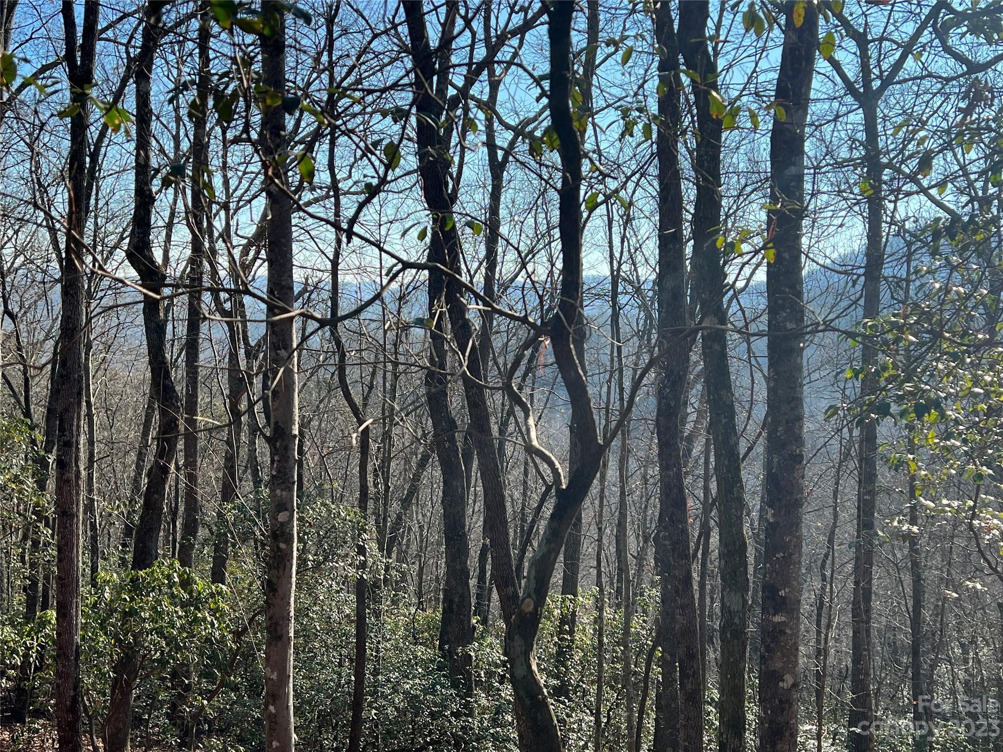 Gray Fox Development - Land