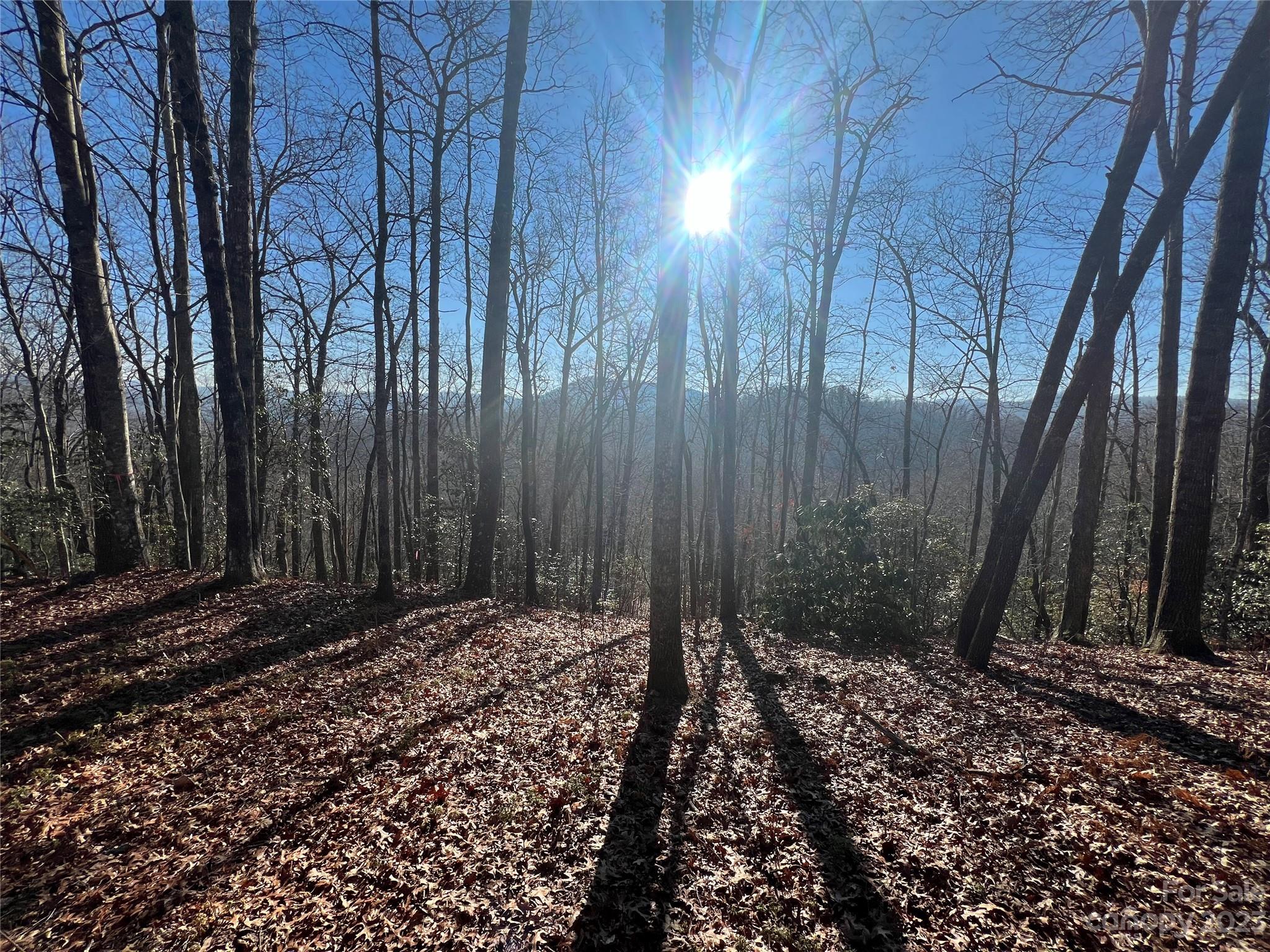 Gray Fox Development - Land