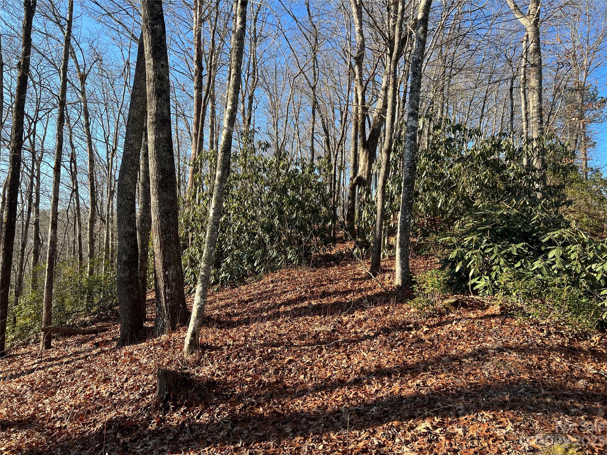 Gray Fox Development - Land