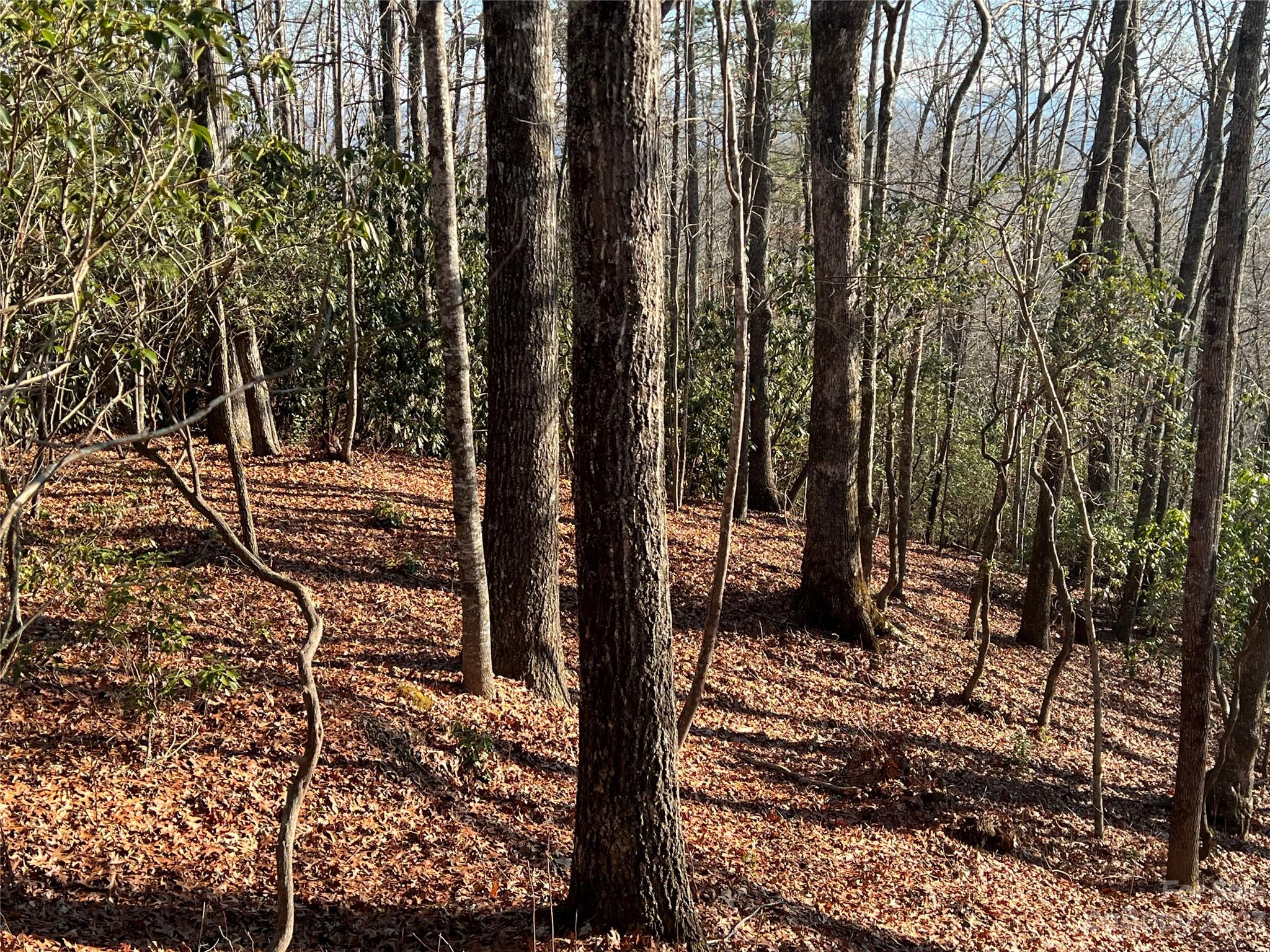 Gray Fox Development - Land