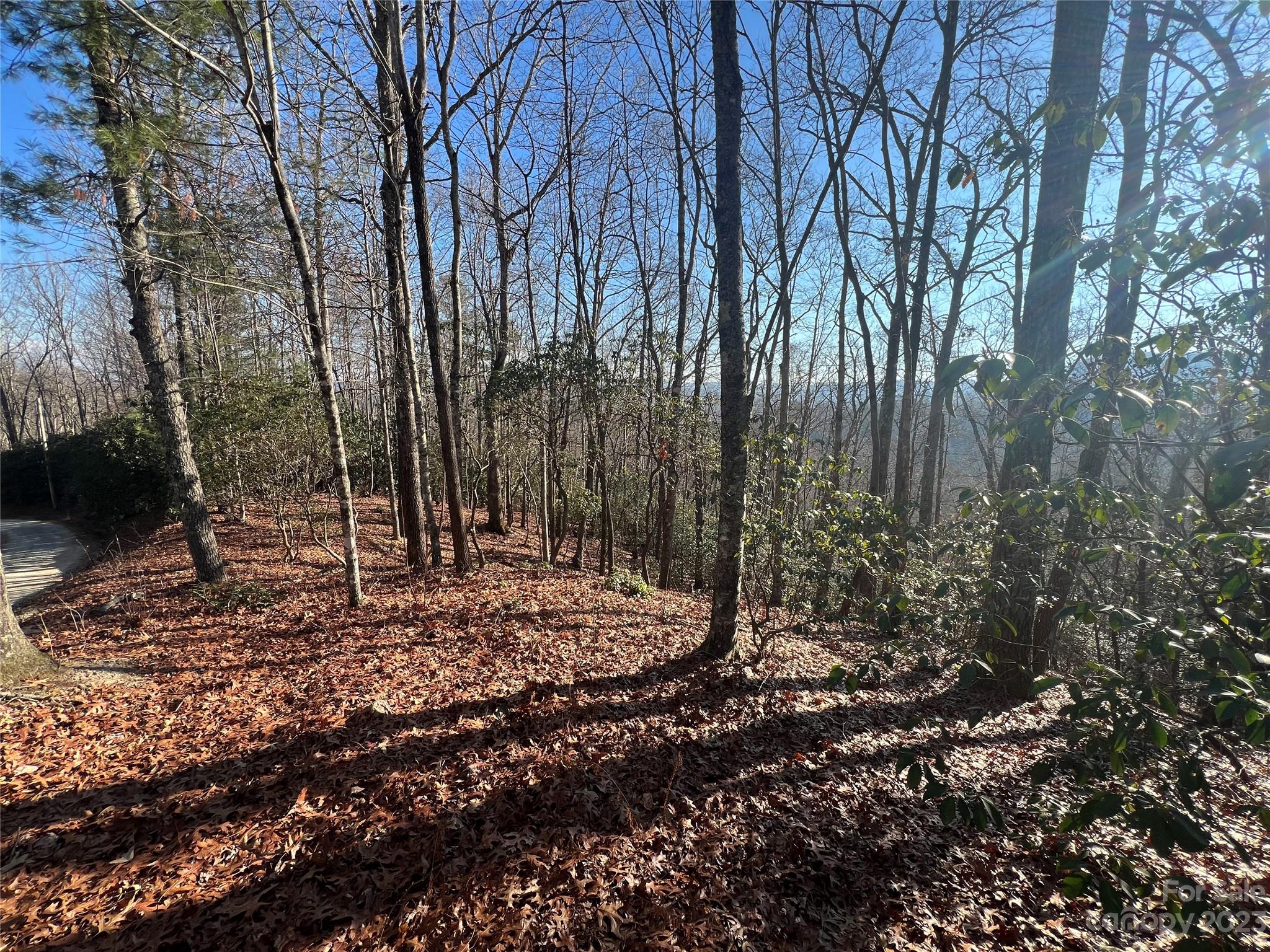 Gray Fox Development - Land