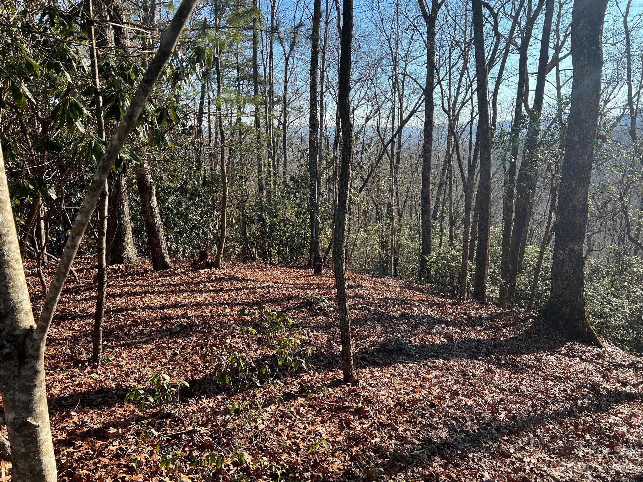 Gray Fox Development - Land