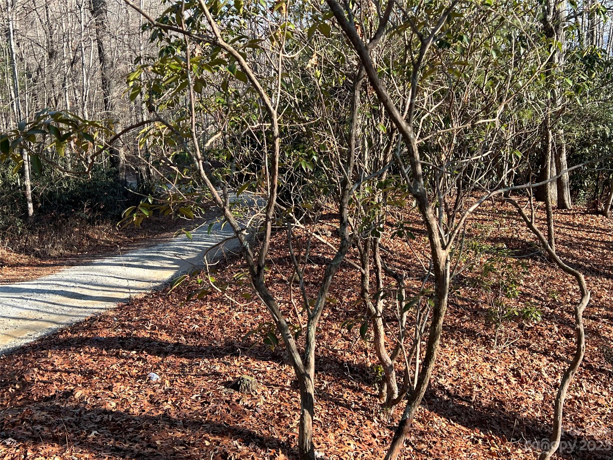 Gray Fox Development - Land