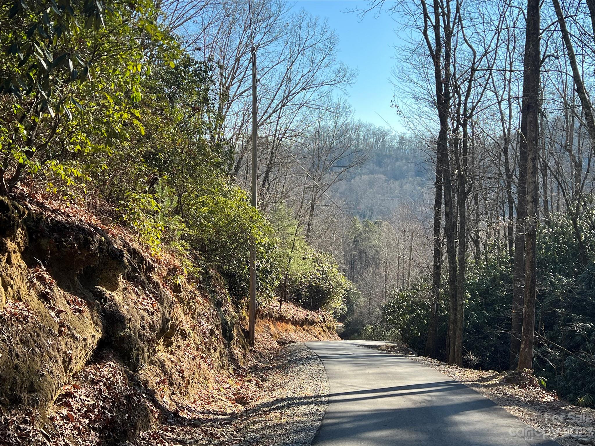 Gray Fox Development - Land