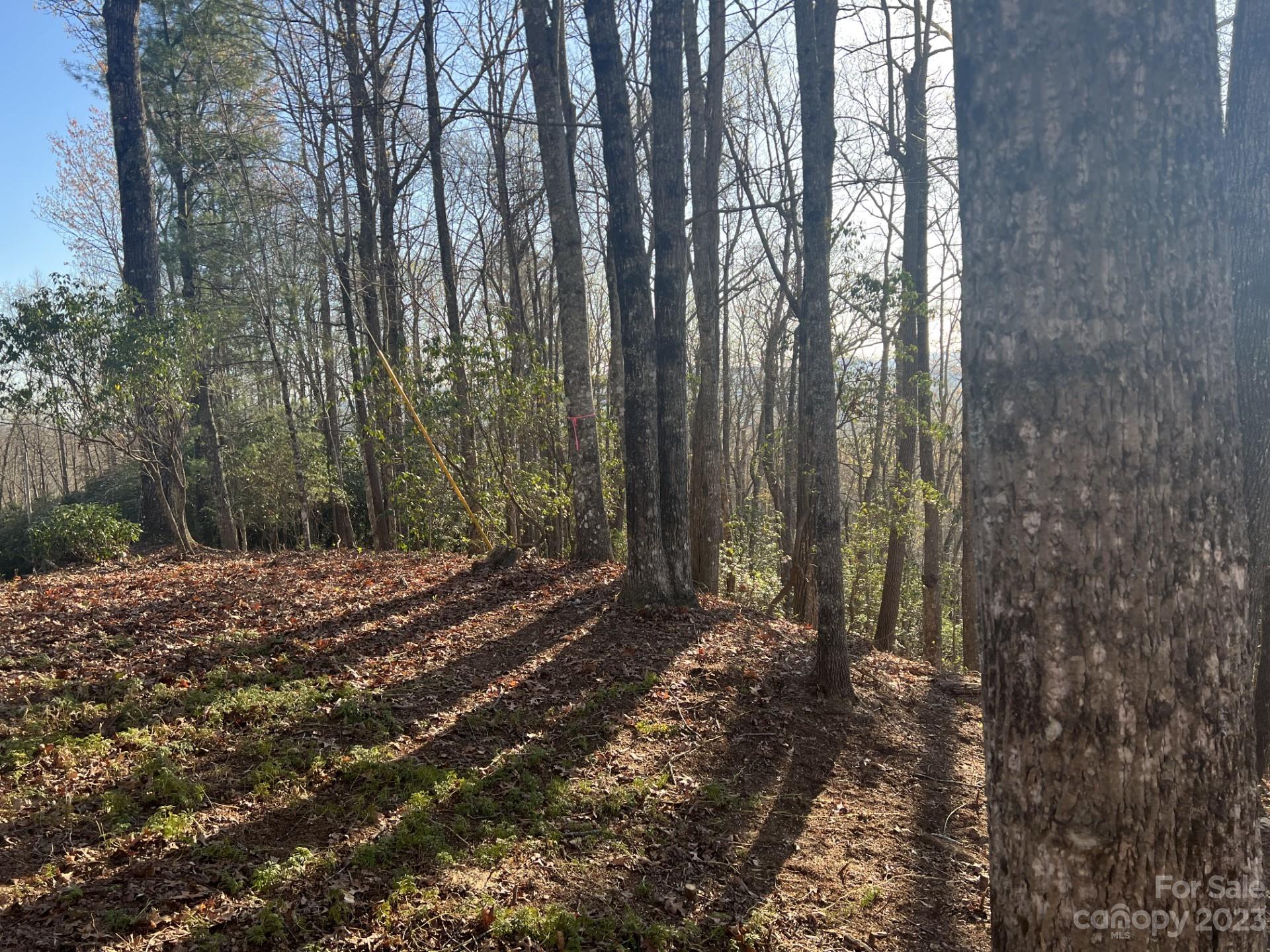 Gray Fox Development - Land