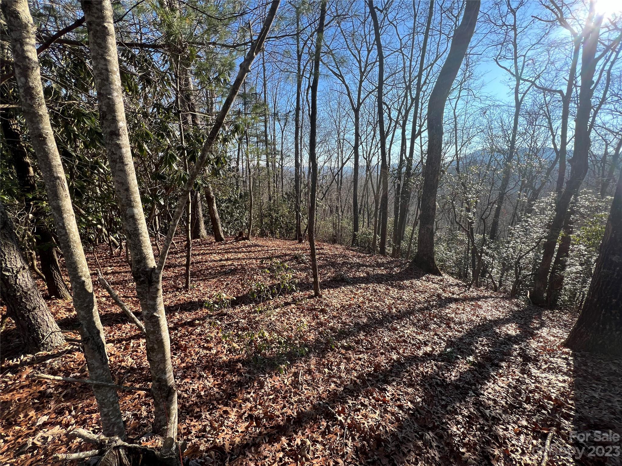 Gray Fox Development - Land