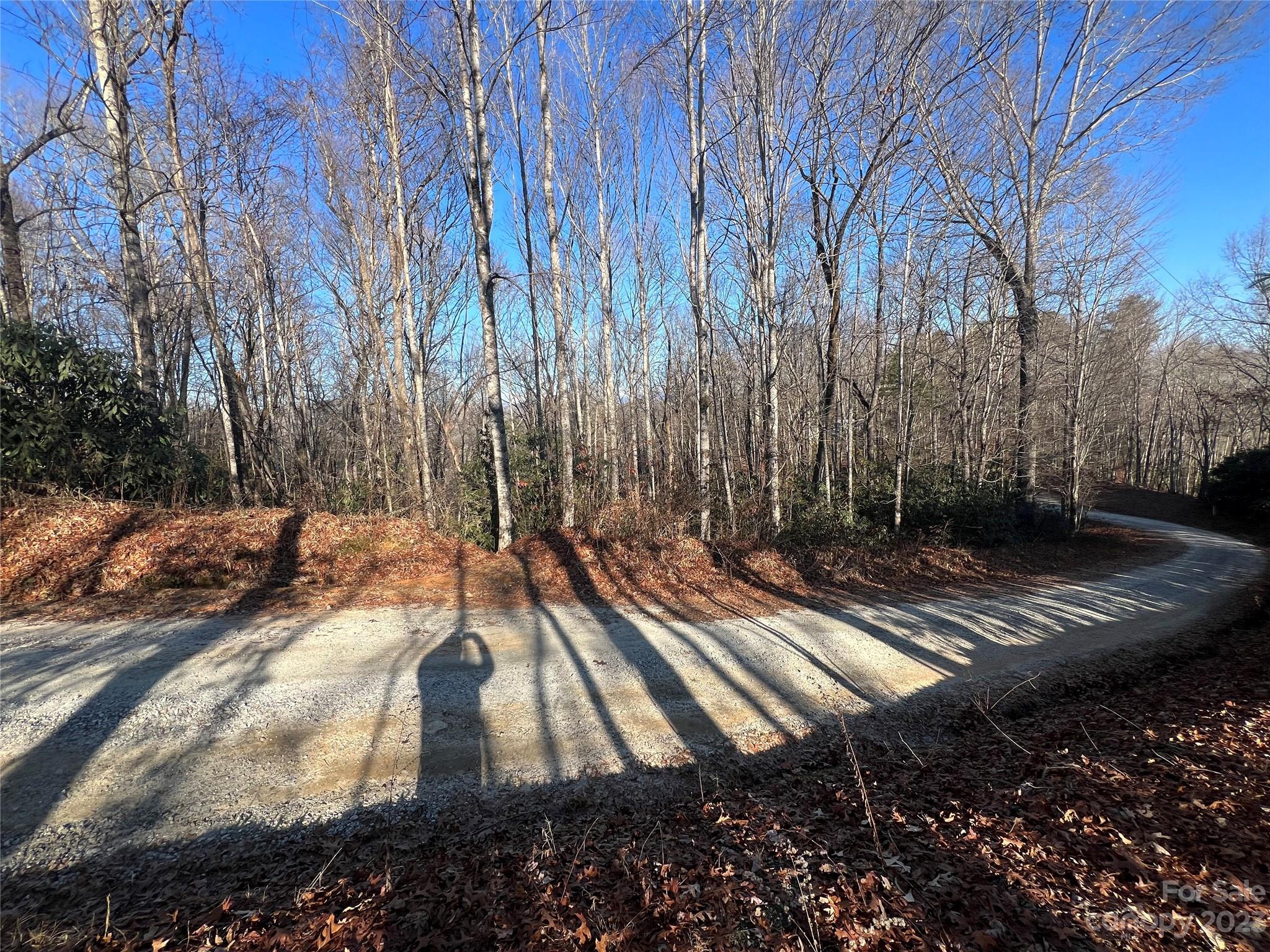 Gray Fox Development - Land