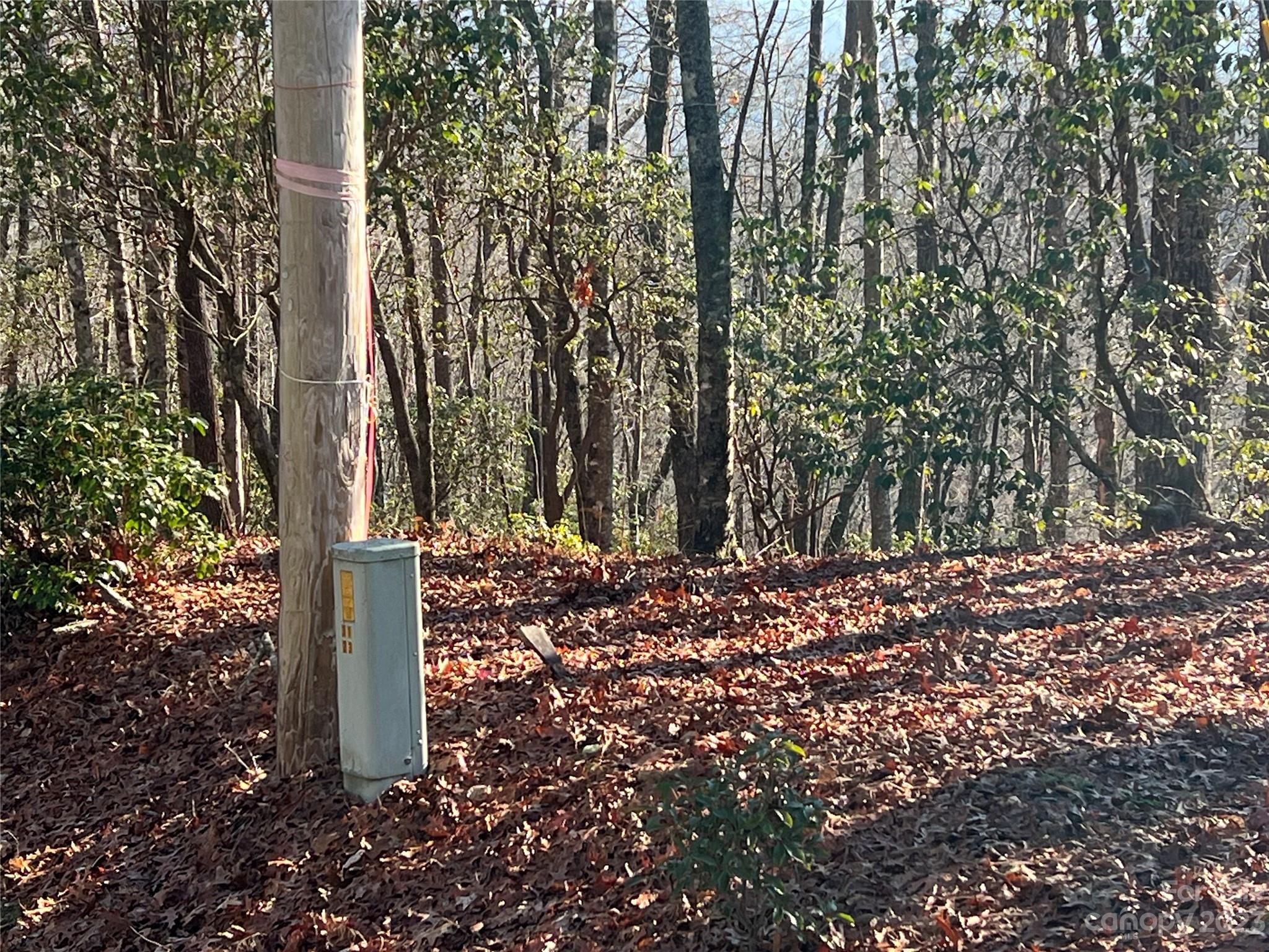 Gray Fox Development - Land