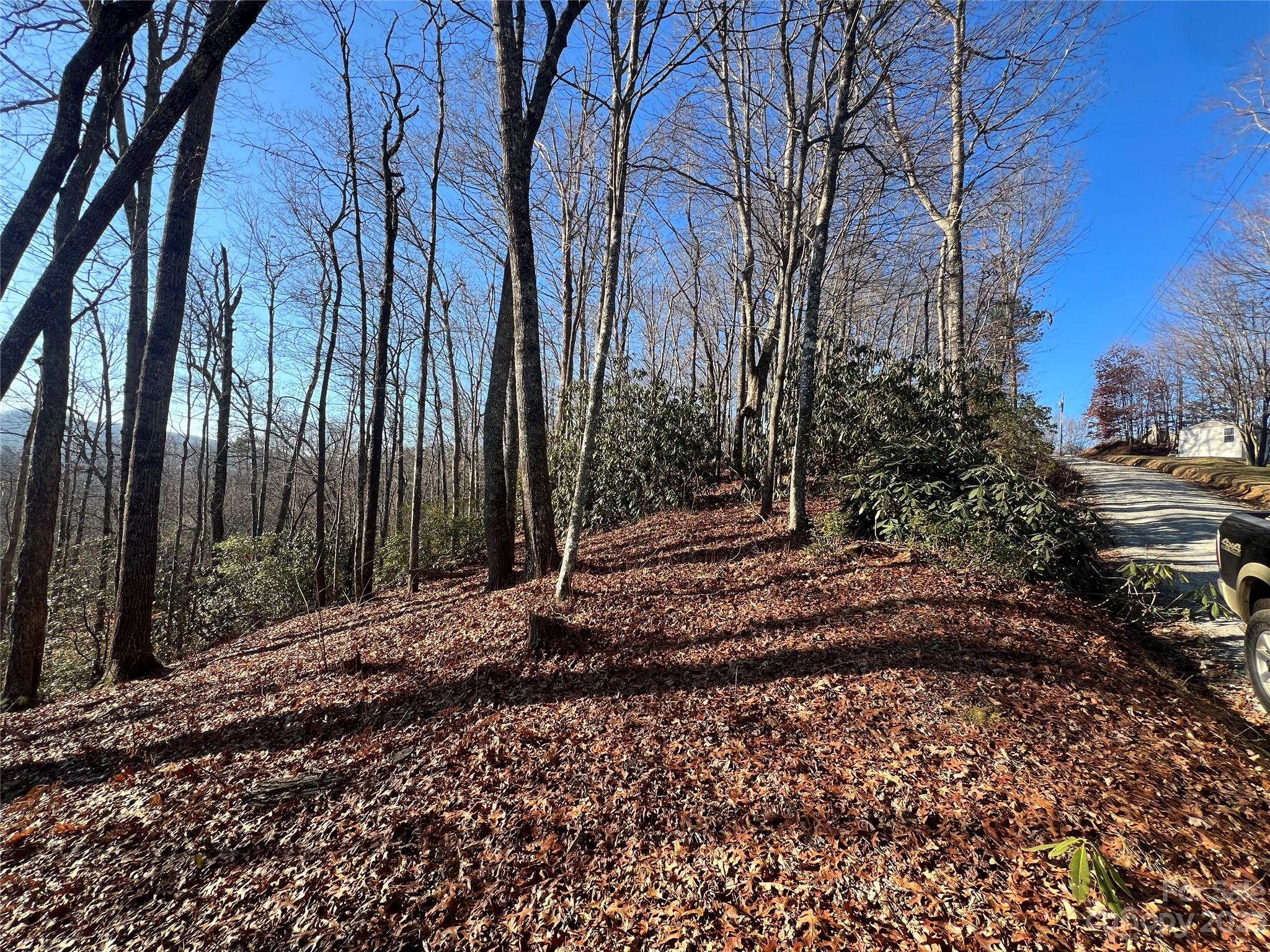 Gray Fox Development - Land