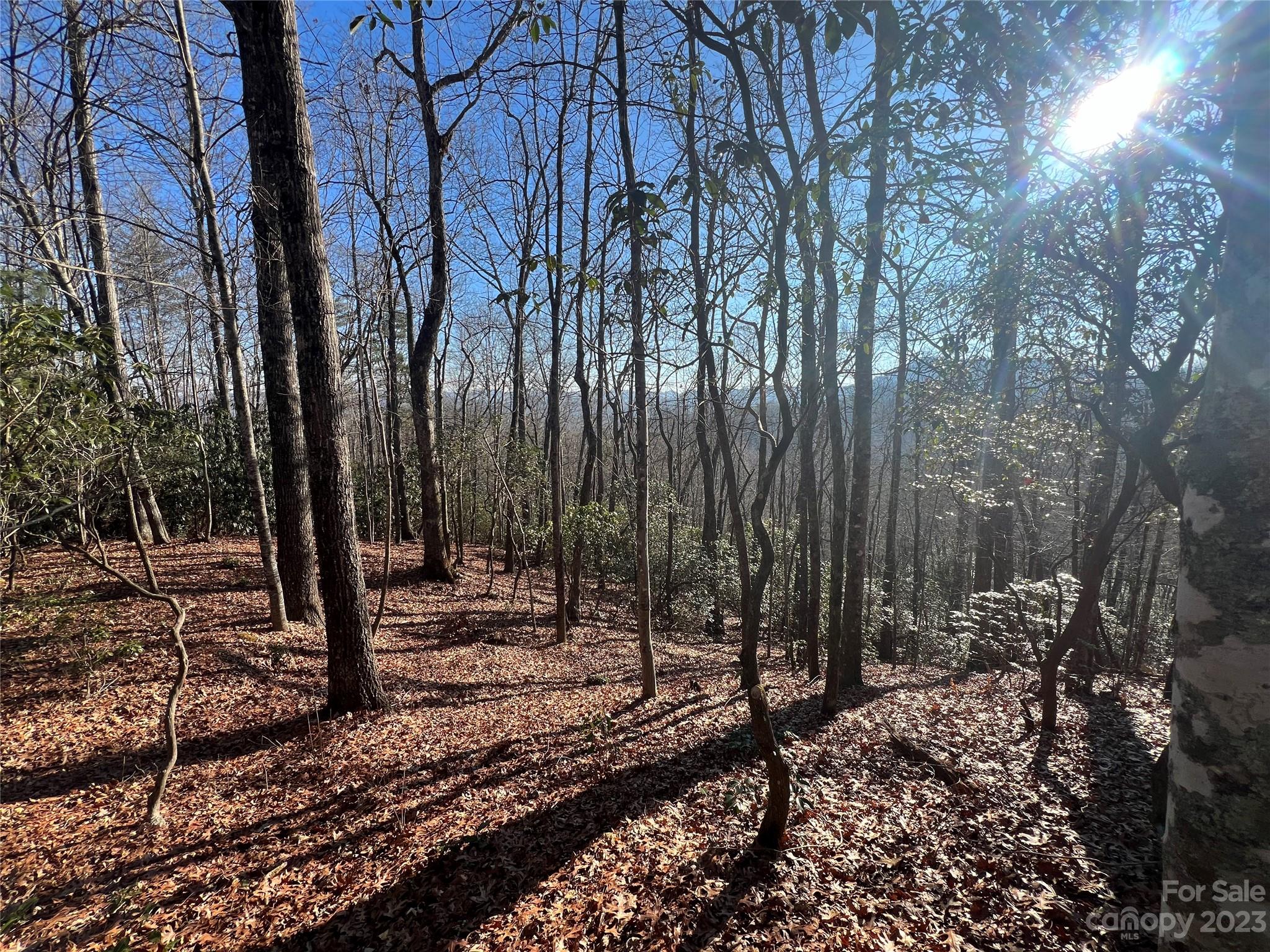 Gray Fox Development - Land