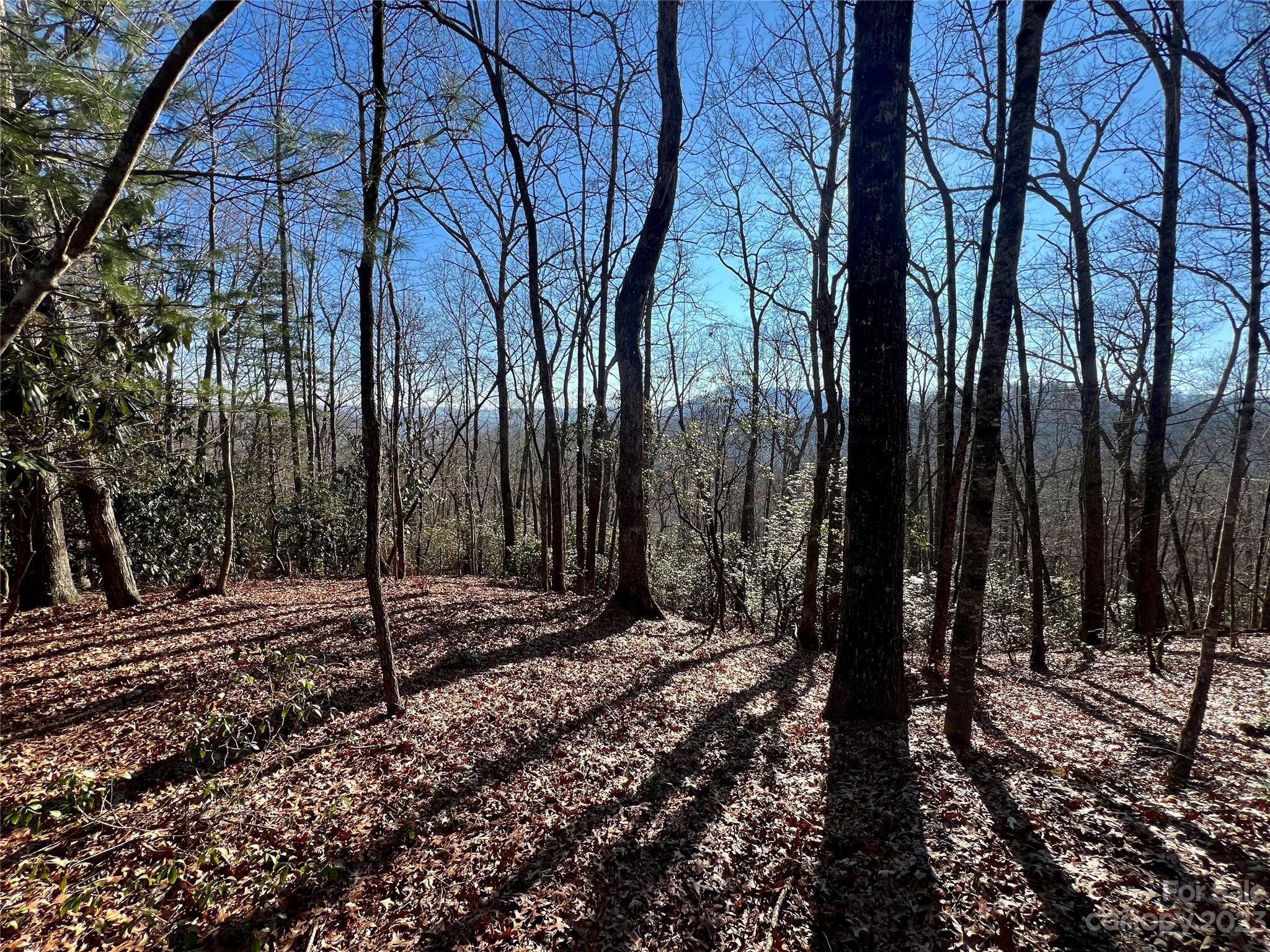 Gray Fox Development - Land