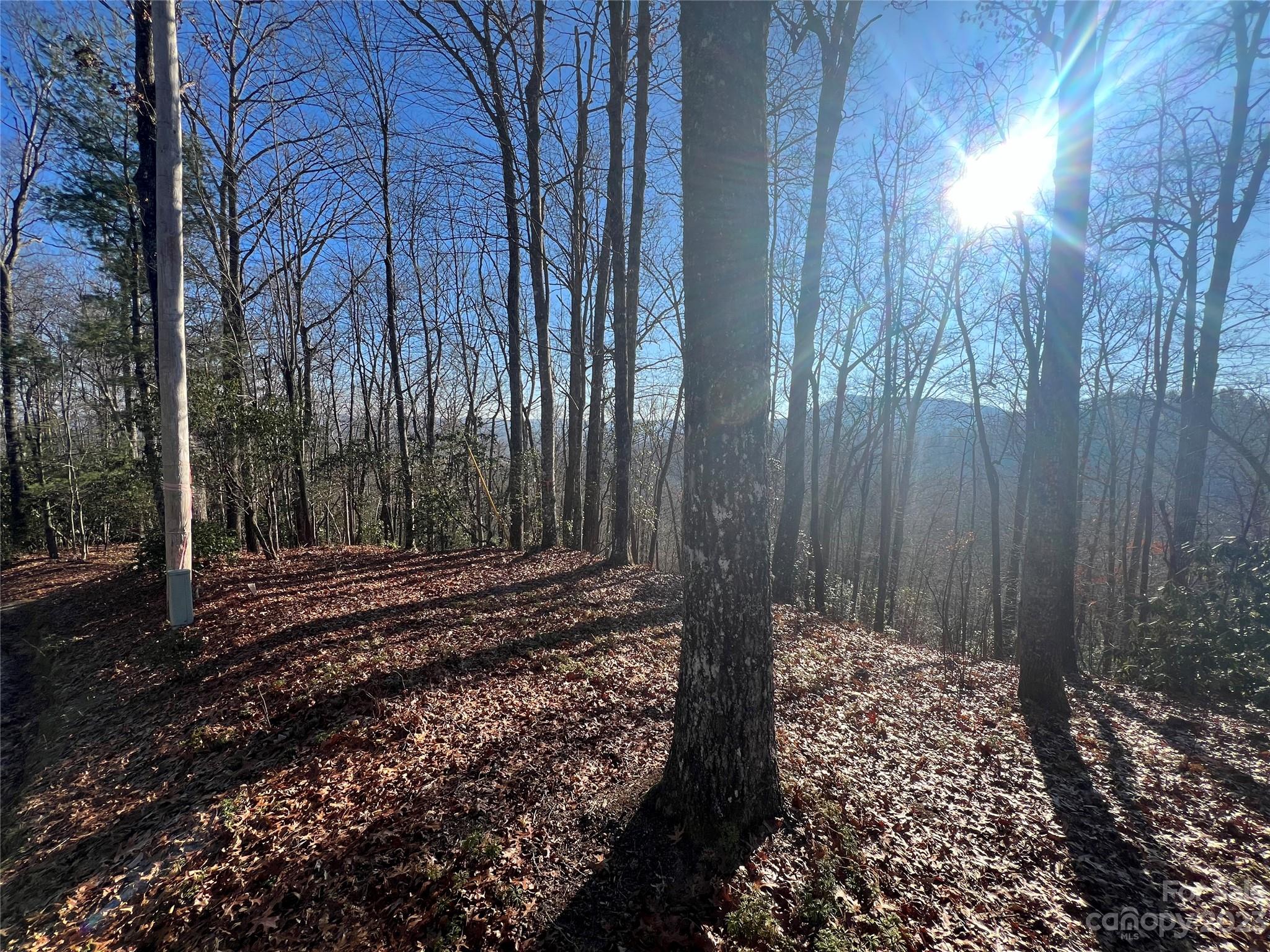 Gray Fox Development - Land