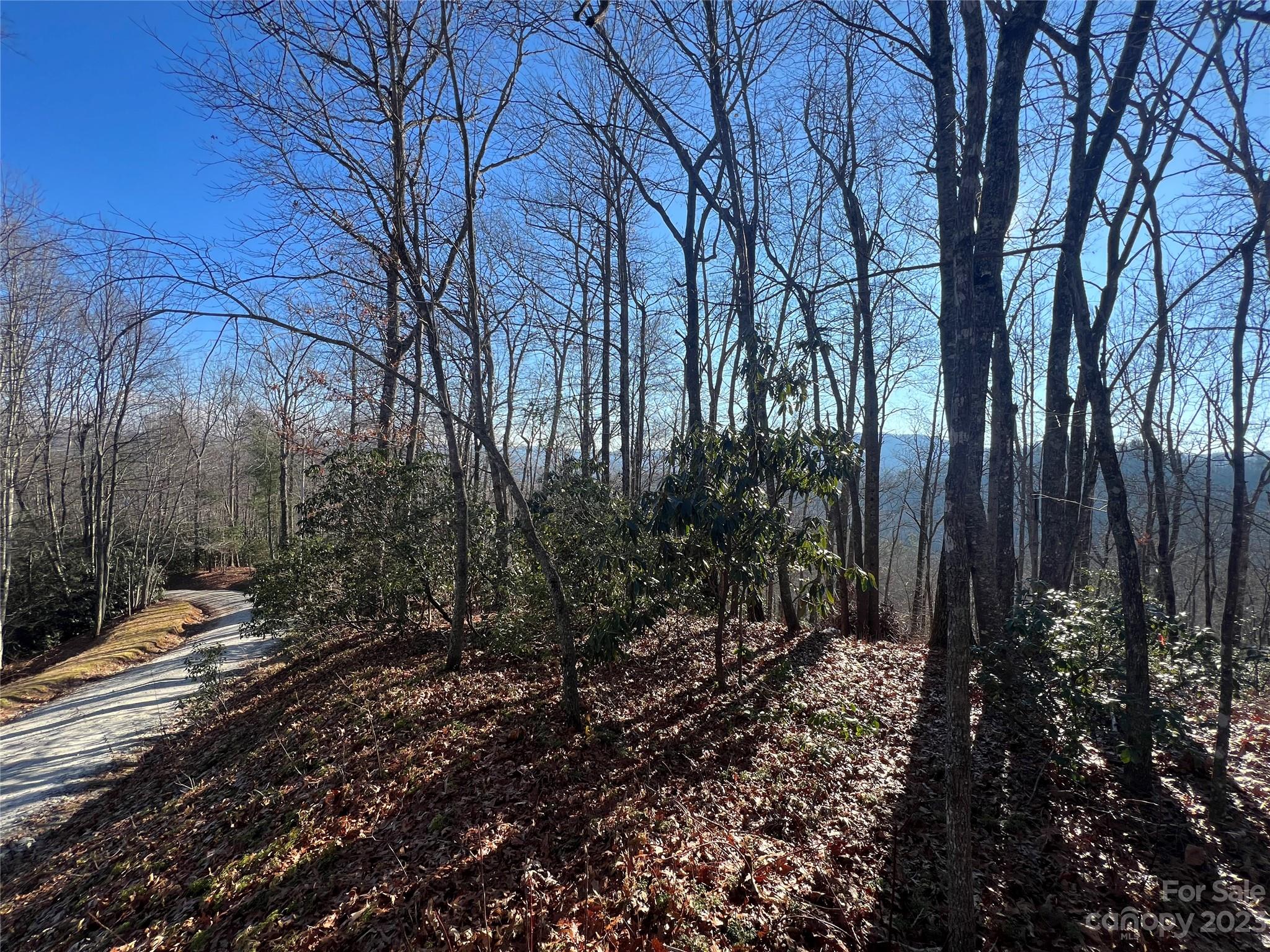 Gray Fox Development - Land