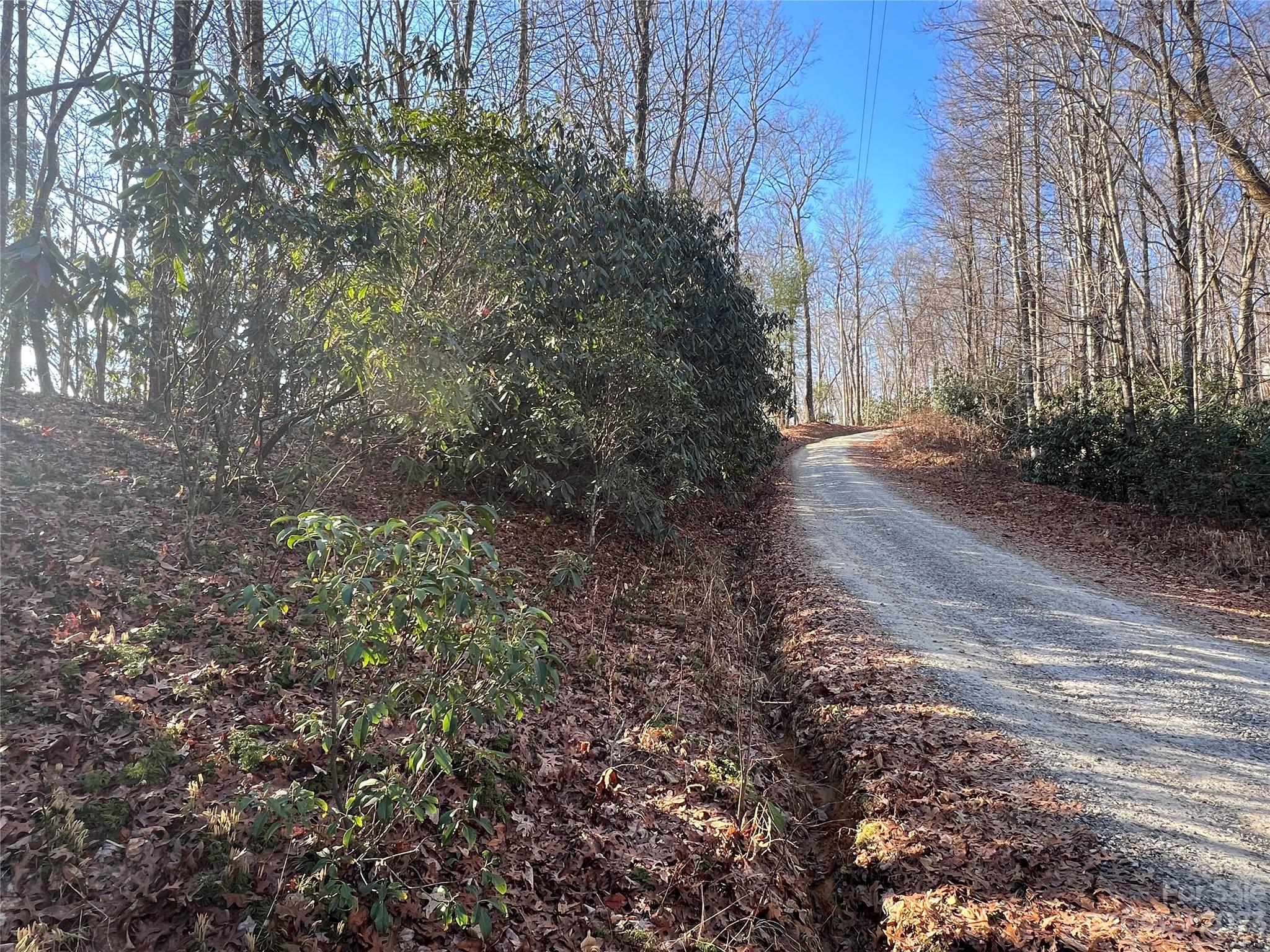 Gray Fox Development - Land