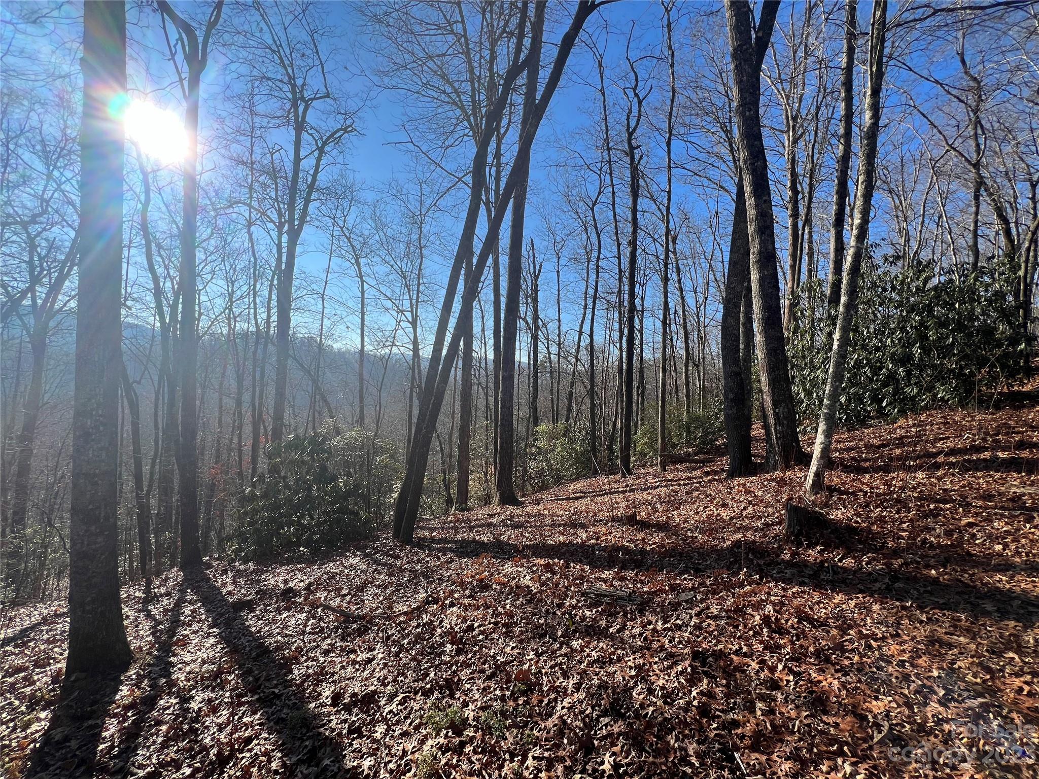 Gray Fox Development - Land