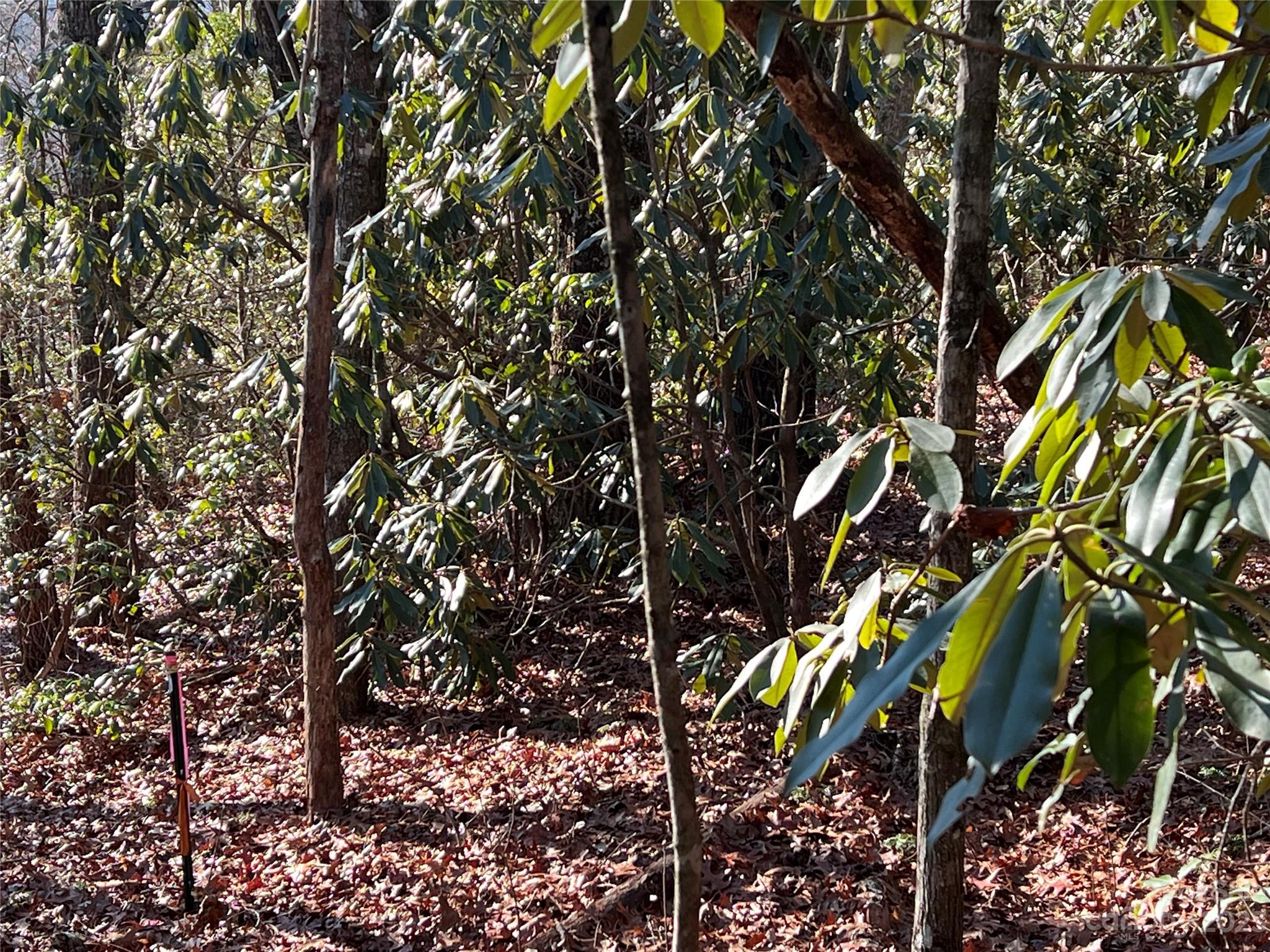 Gray Fox Development - Land