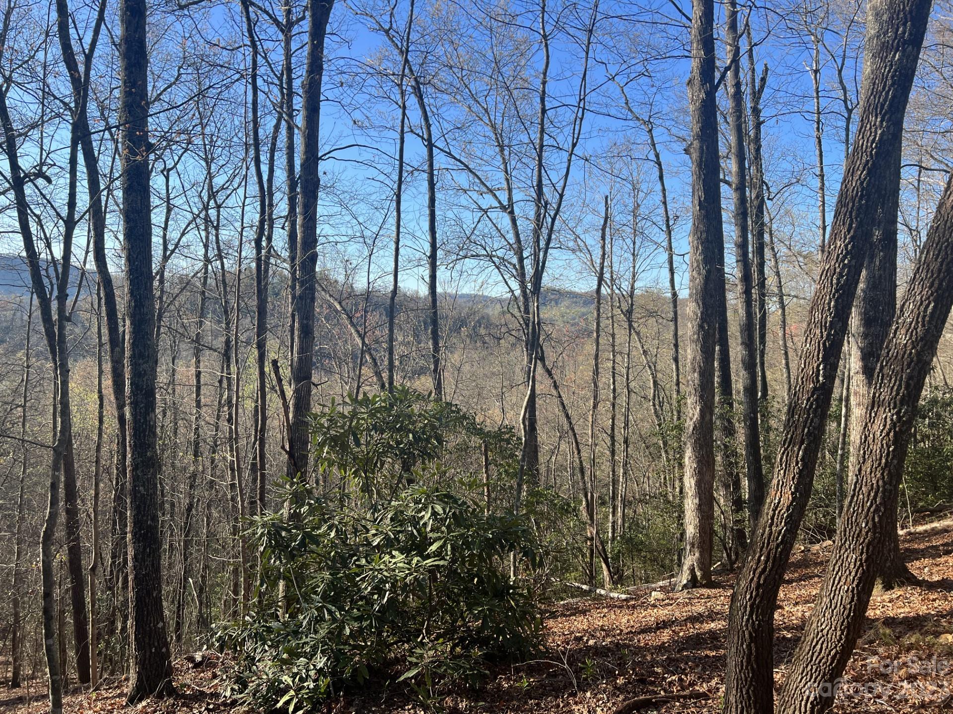 Gray Fox Development - Land