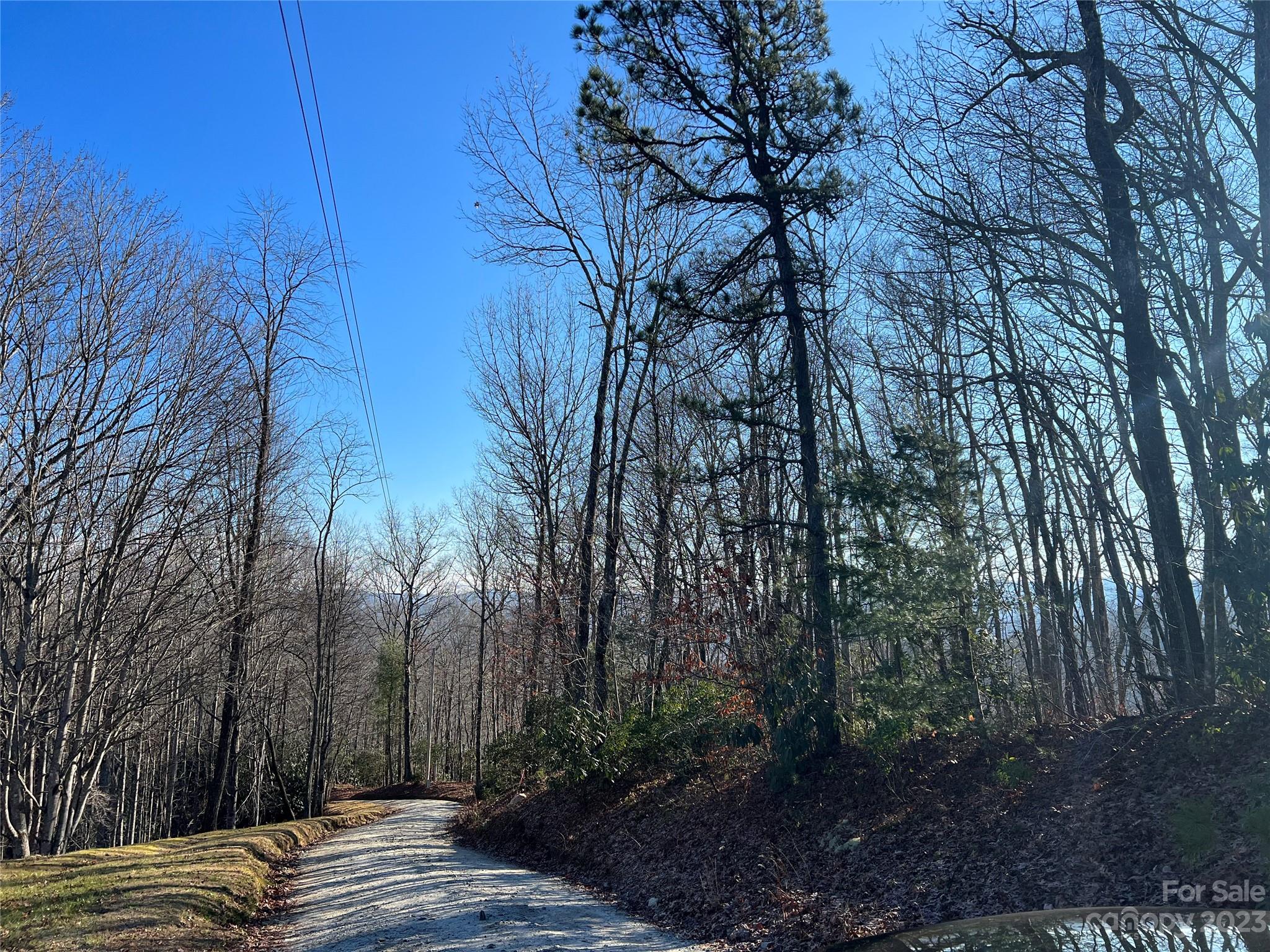 Gray Fox Development - Land