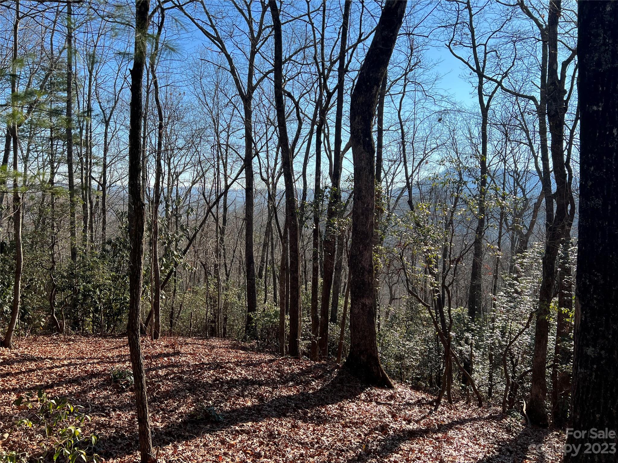 Gray Fox Development - Land