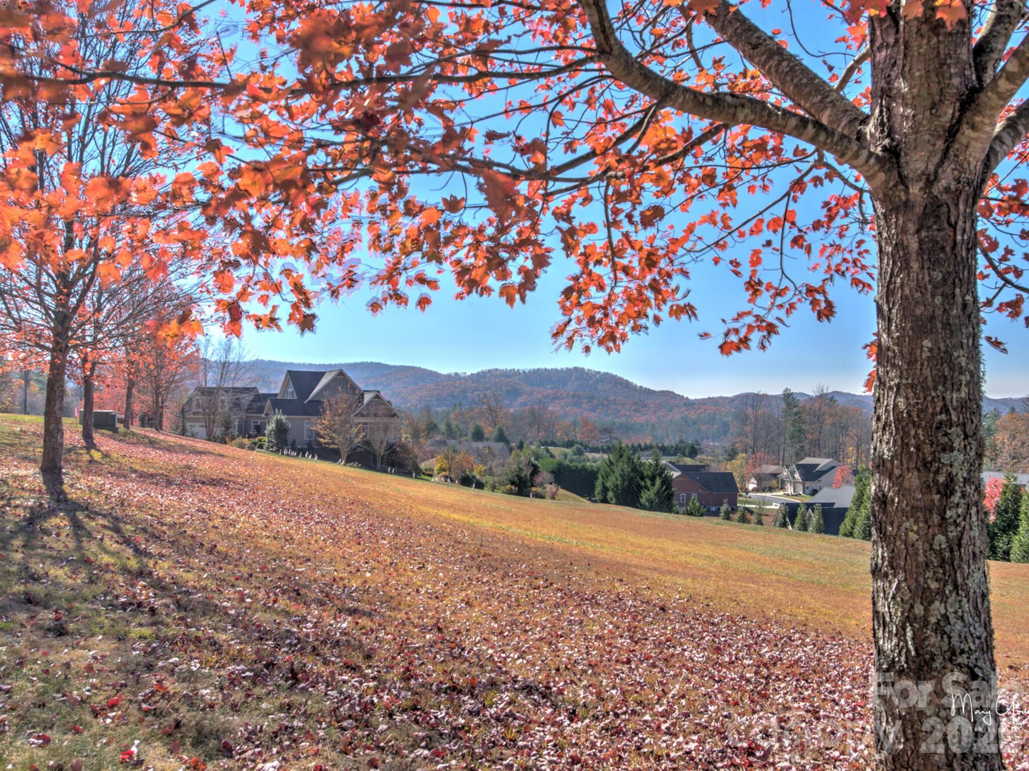 Cummings Cove - Residential