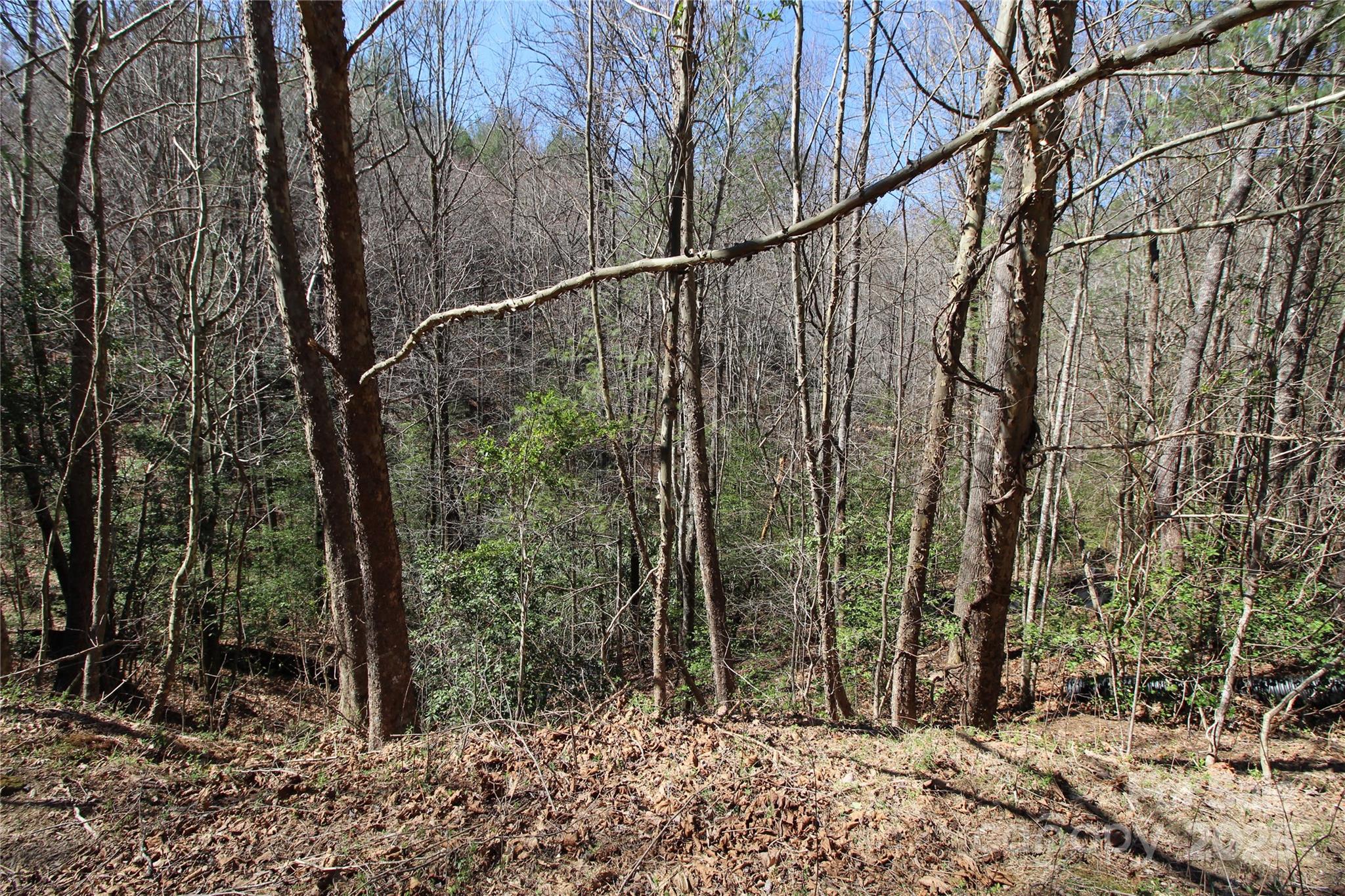 V/L Black Hills Drive 26